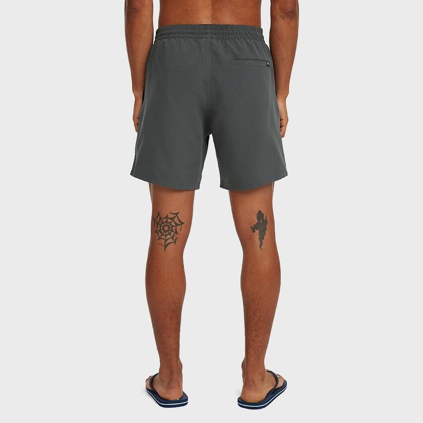 Heren Zwemshort Cali Logo Grijs 4/6
