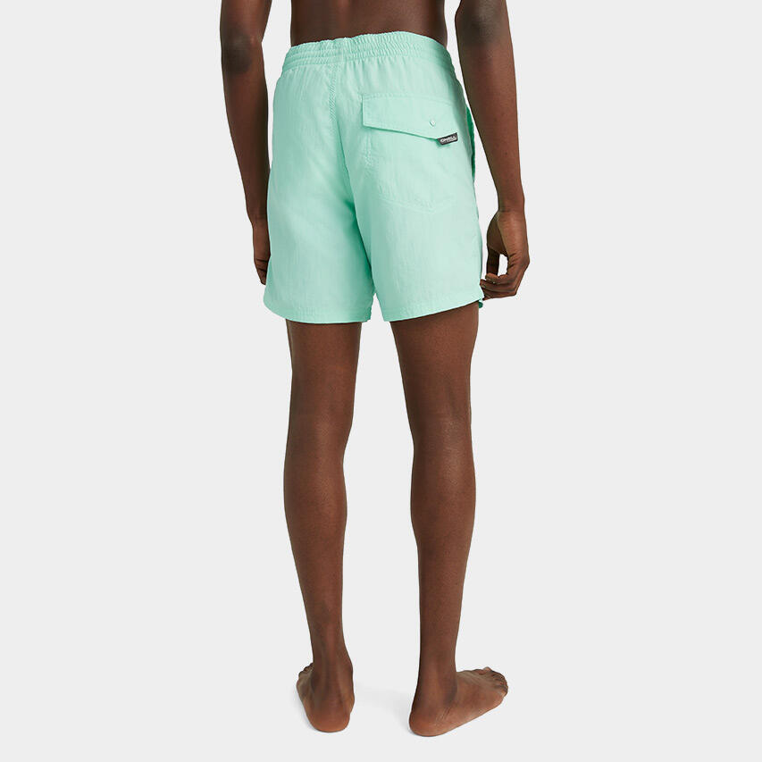 Heren Vert Zwemshort Logo Blauw III 5/5