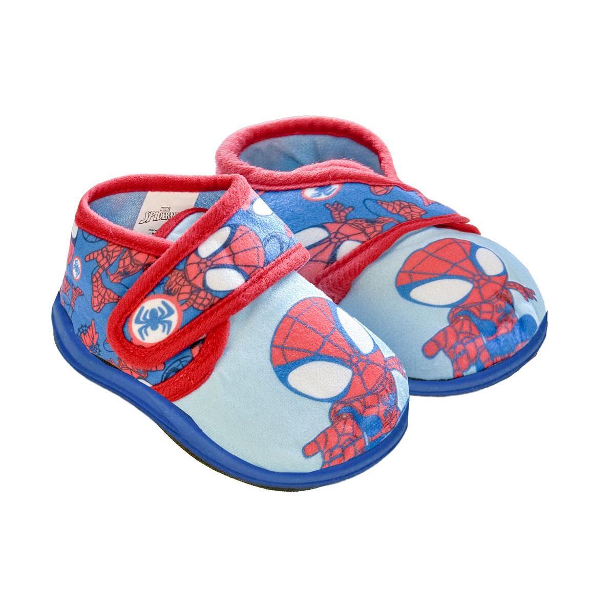 SPIDERMAN picture