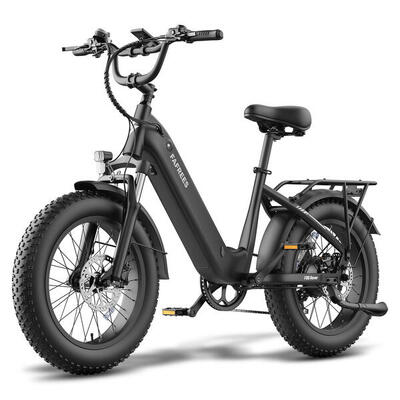 Fafrees f20 rover elektrische fiets, 48v 20ah accu, hydraulische schijfremmen.