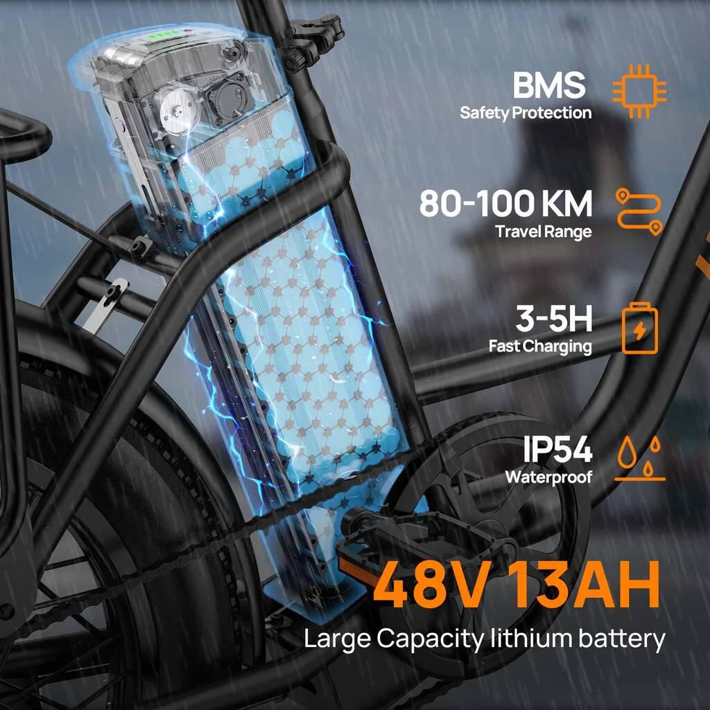 Bicicletta elettrica per adulti URLIFE E20 Batteria 48V 13AH Pneumatico 20 polli 6/11