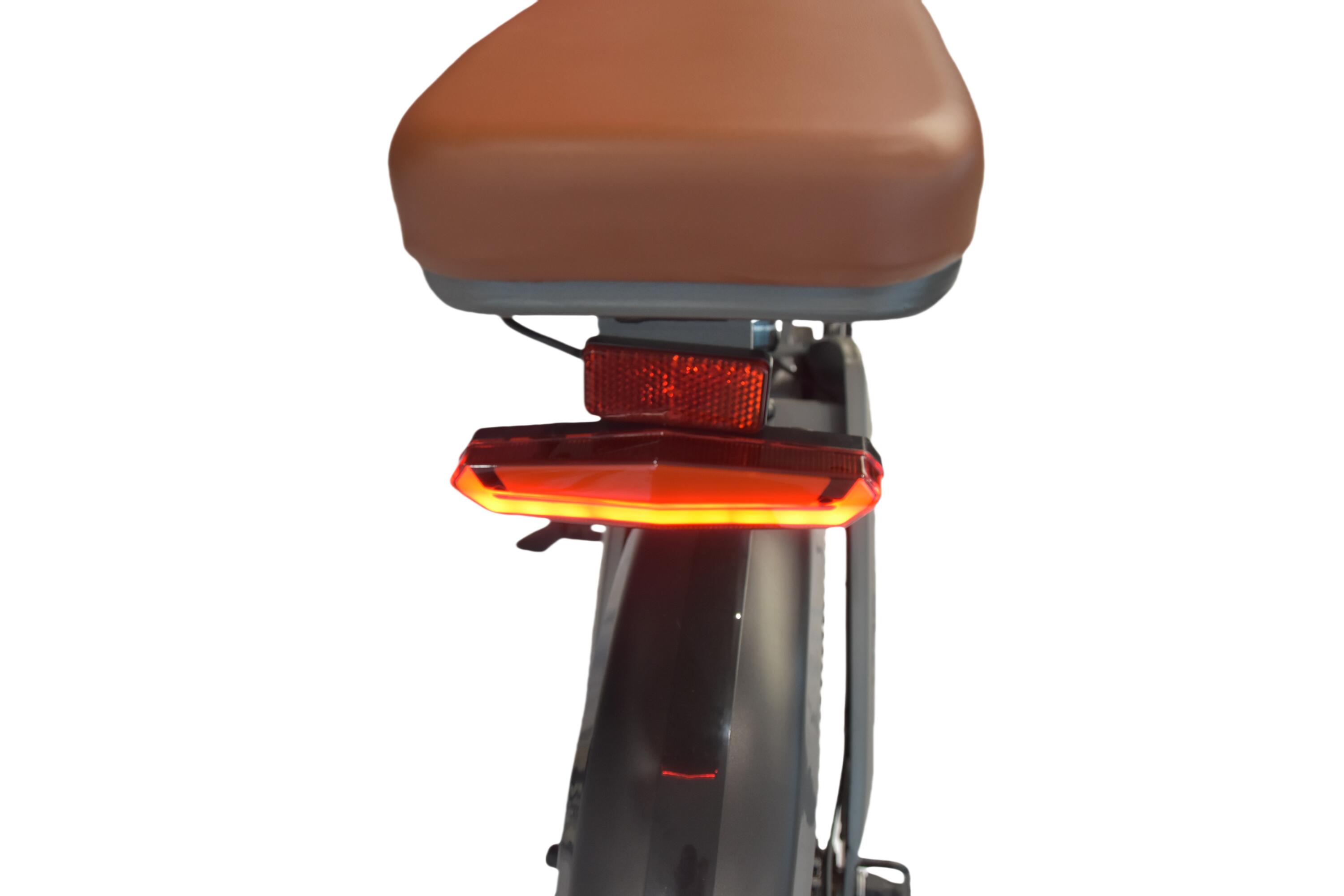 Vélo électrique DYU M20 250 W – Batterie 48 V 18,2 Ah 6/10