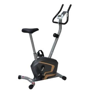 PowerMax Fitness BU-400 Upright Exercise Bike for Home, 4KG Flywheel, 8-Level Magnetic Resistance, Vertical Adjustable Seat