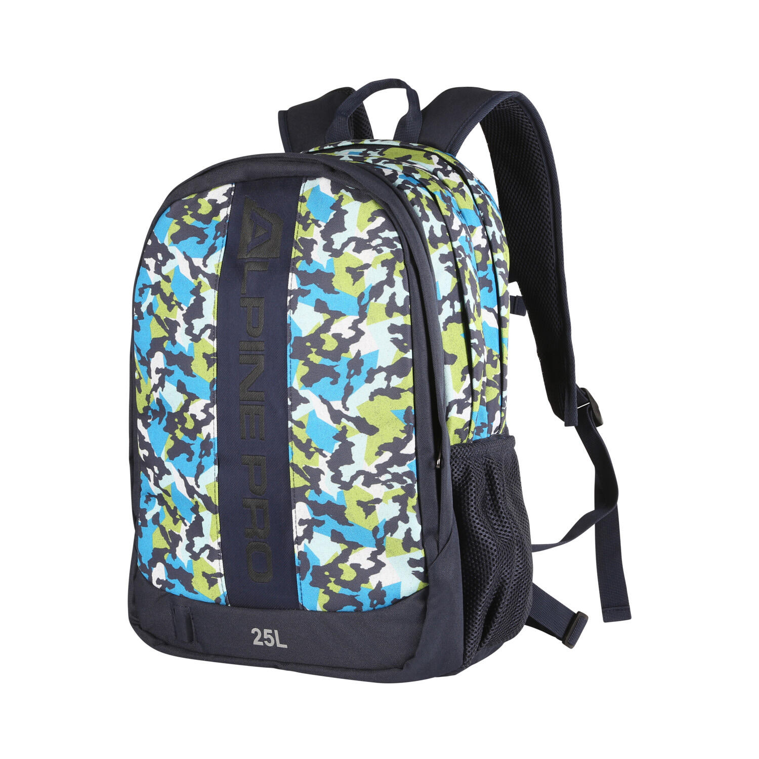 ALPINE PRO picture