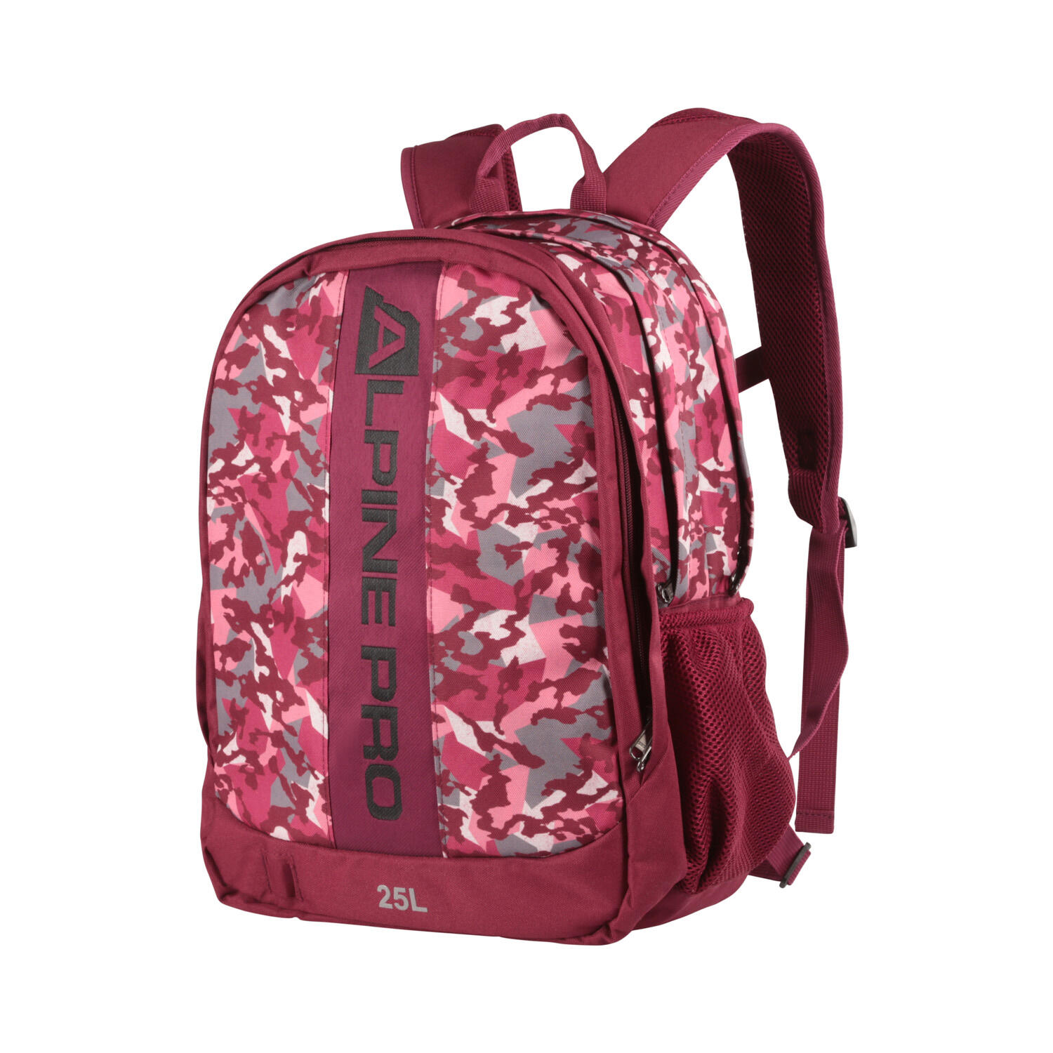 ALPINE PRO picture