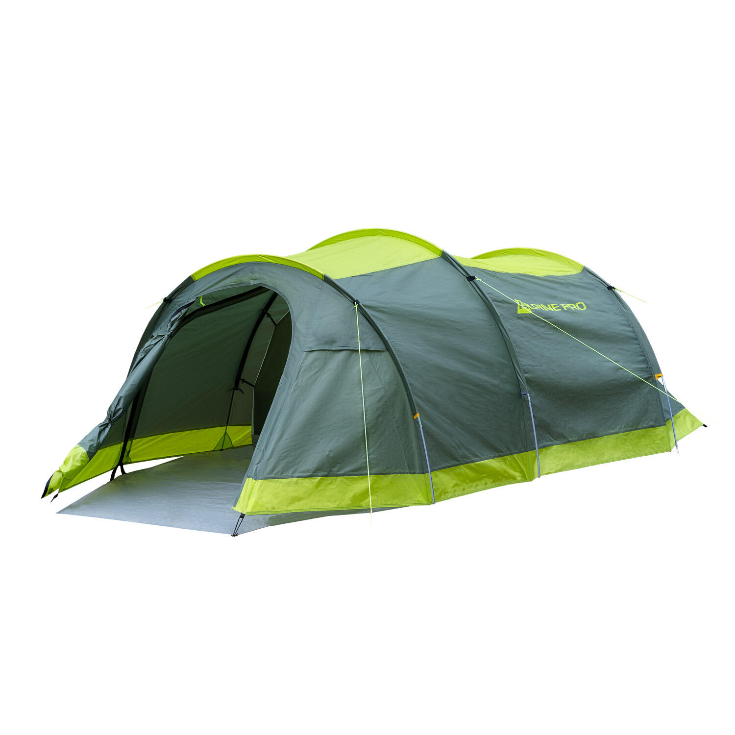 ALPINE PRO picture
