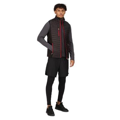 Heren navigate gewatteerd hybride gilet (lichtgroen)