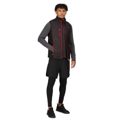 Veste Sans Manches NAVIGATE Homme (Noir / Bleu Roi)