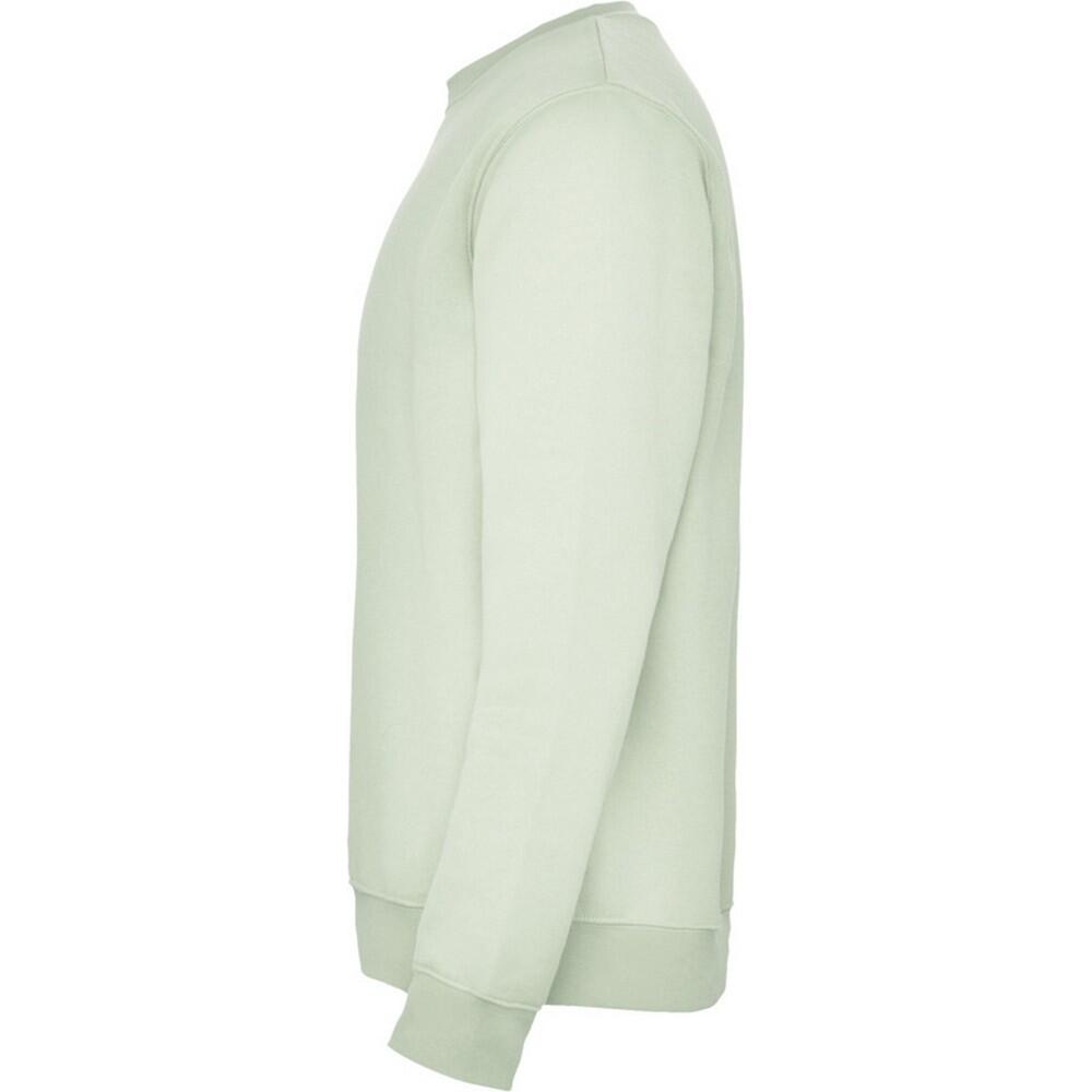 Unisex Clasica Crew Hals Sweatshirt voor volwassenen (Nevelgroen) 4/4