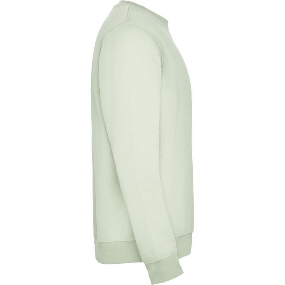 Unisex Clasica Crew Hals Sweatshirt voor volwassenen (Nevelgroen) 3/4