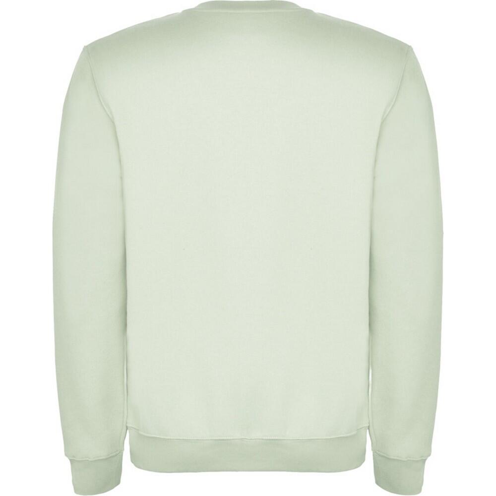 Unisex Clasica Crew Hals Sweatshirt voor volwassenen (Nevelgroen) 2/4