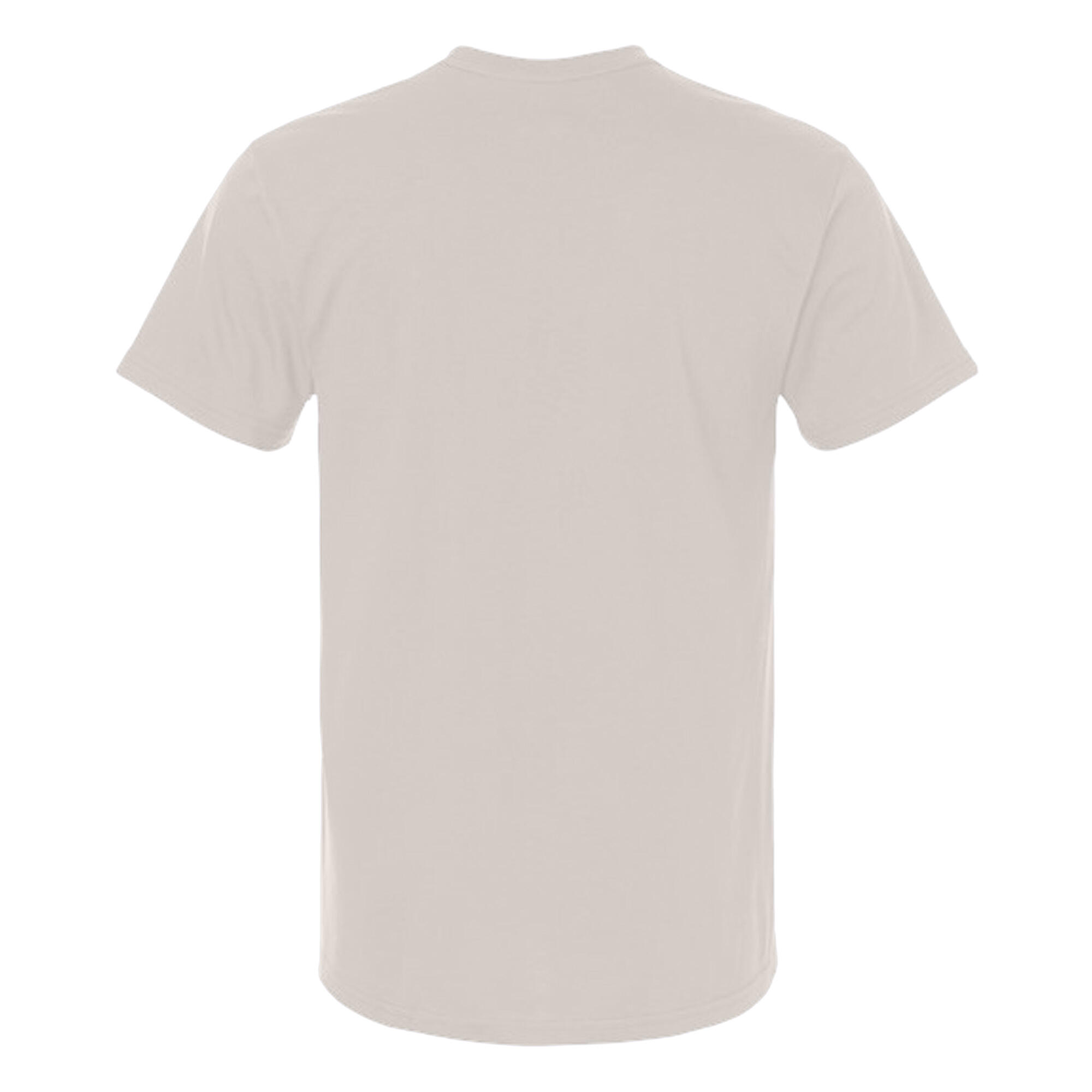 Mens Soft Style Ringspun T Shirt (Ice Grey) 2/3