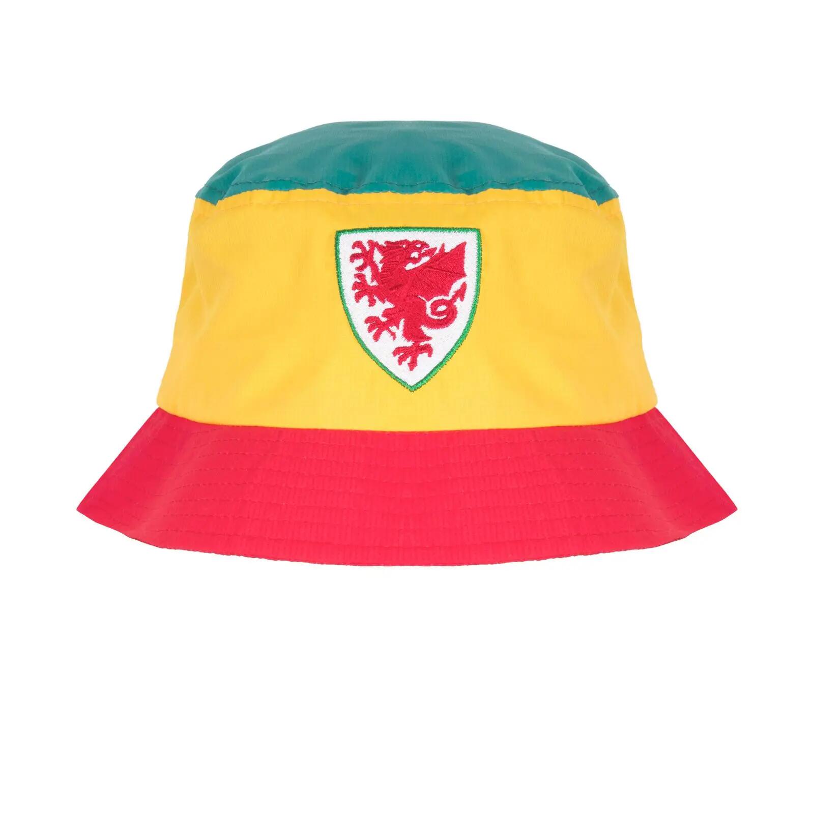 FA WALES picture