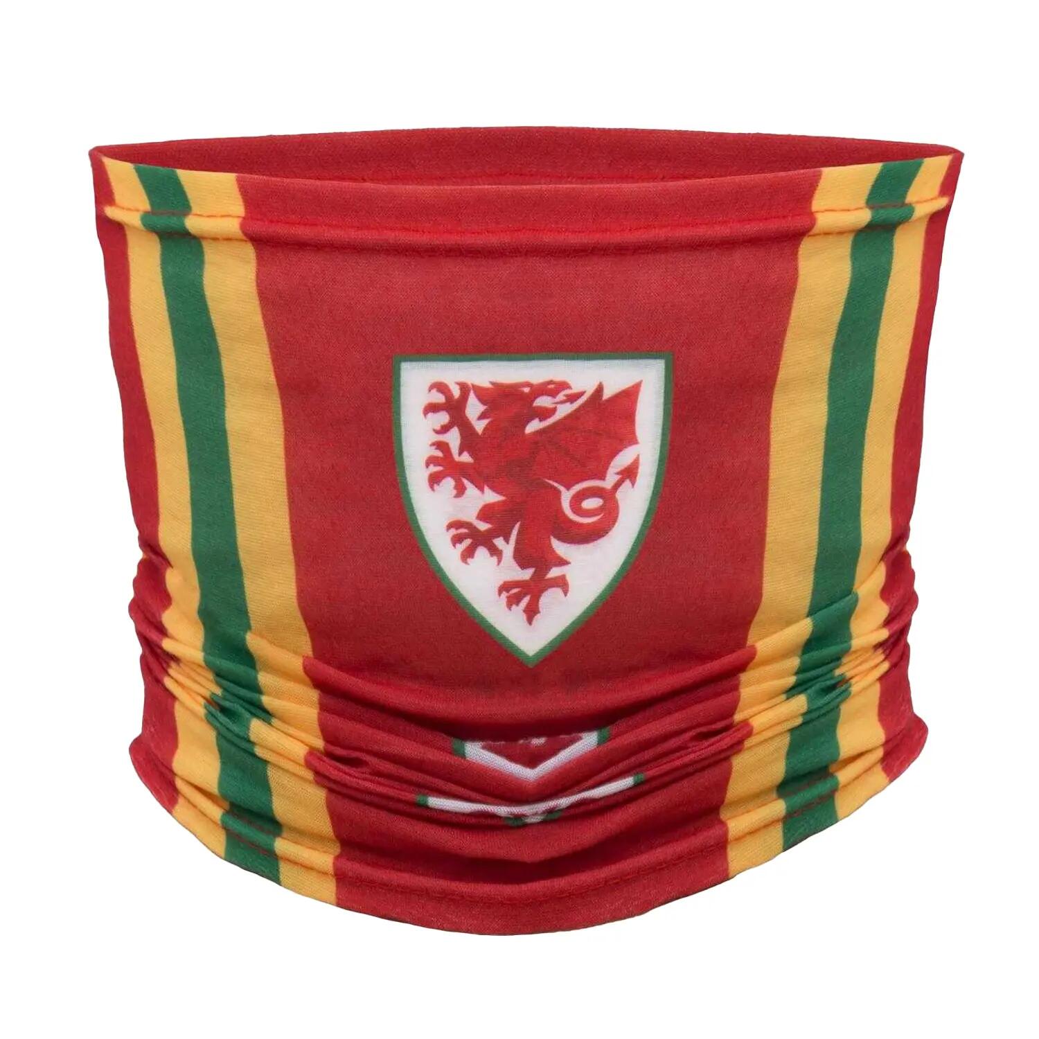 FA WALES picture