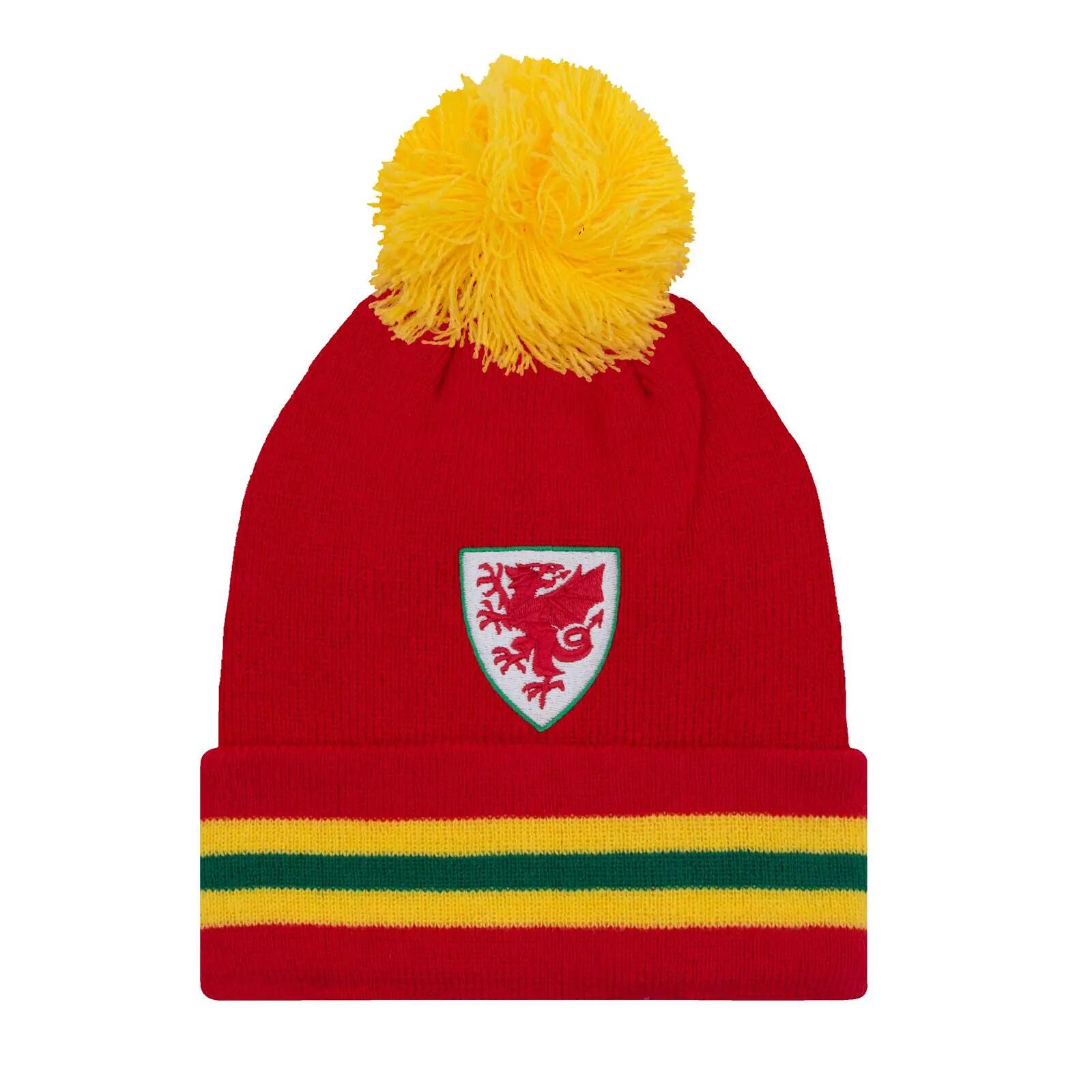 FA WALES picture