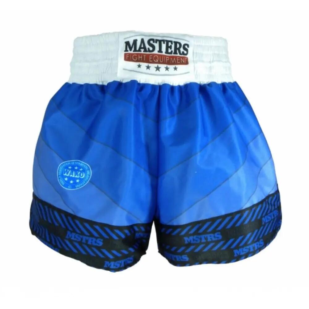 MASTERS picture