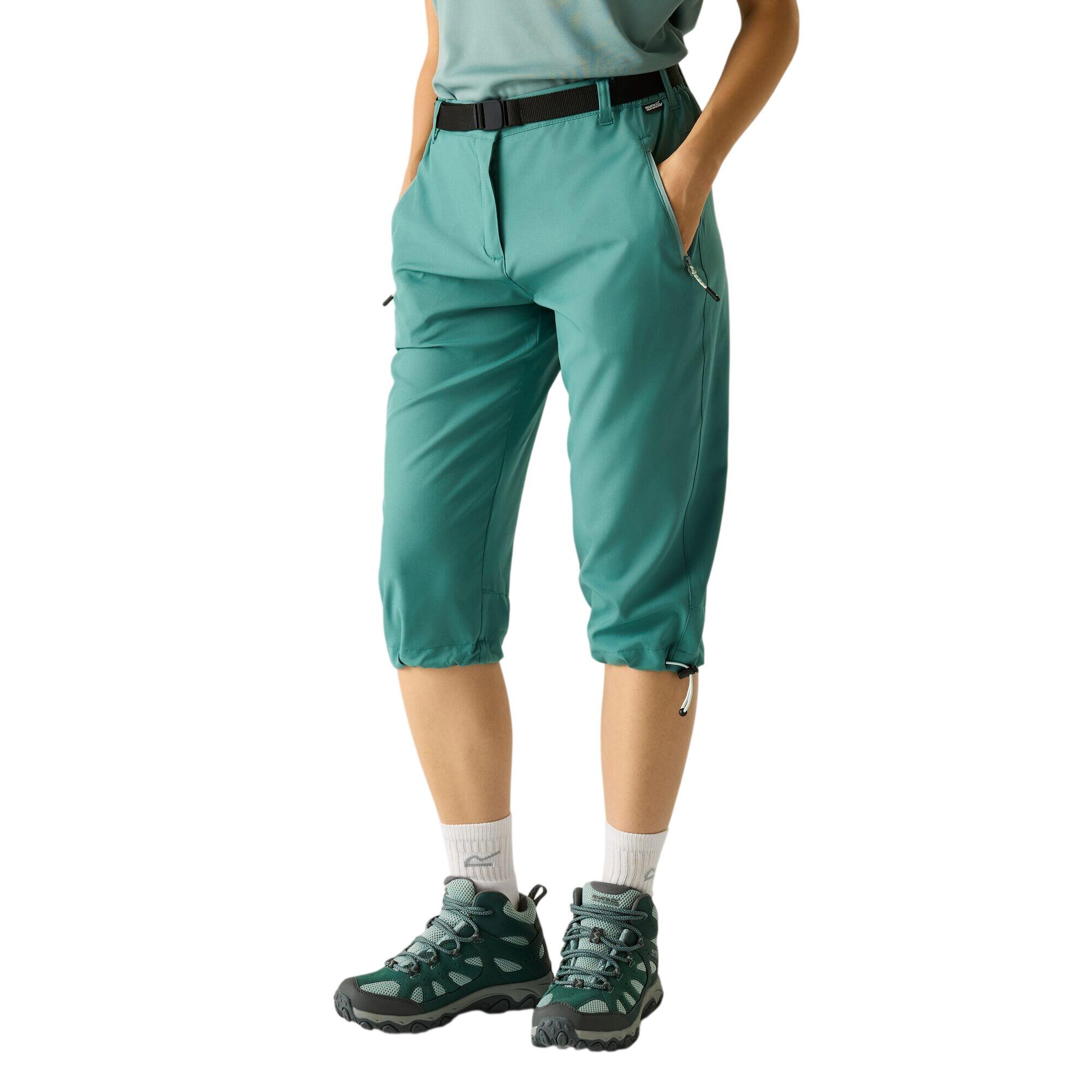 vert aquamarine / vert sauge