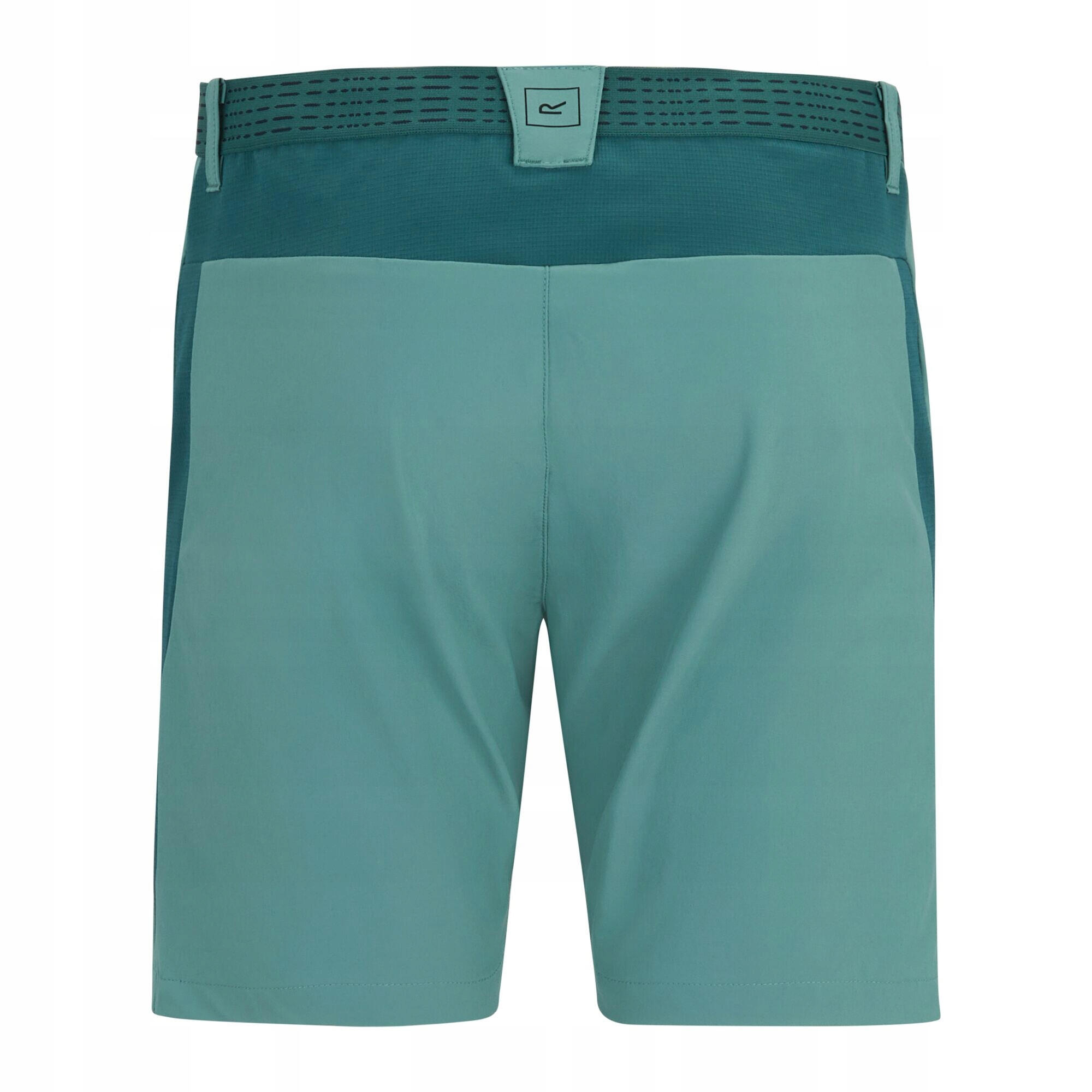 Pantaloncini Uomo Regatta Mountain Artico Mediterranea 2/4