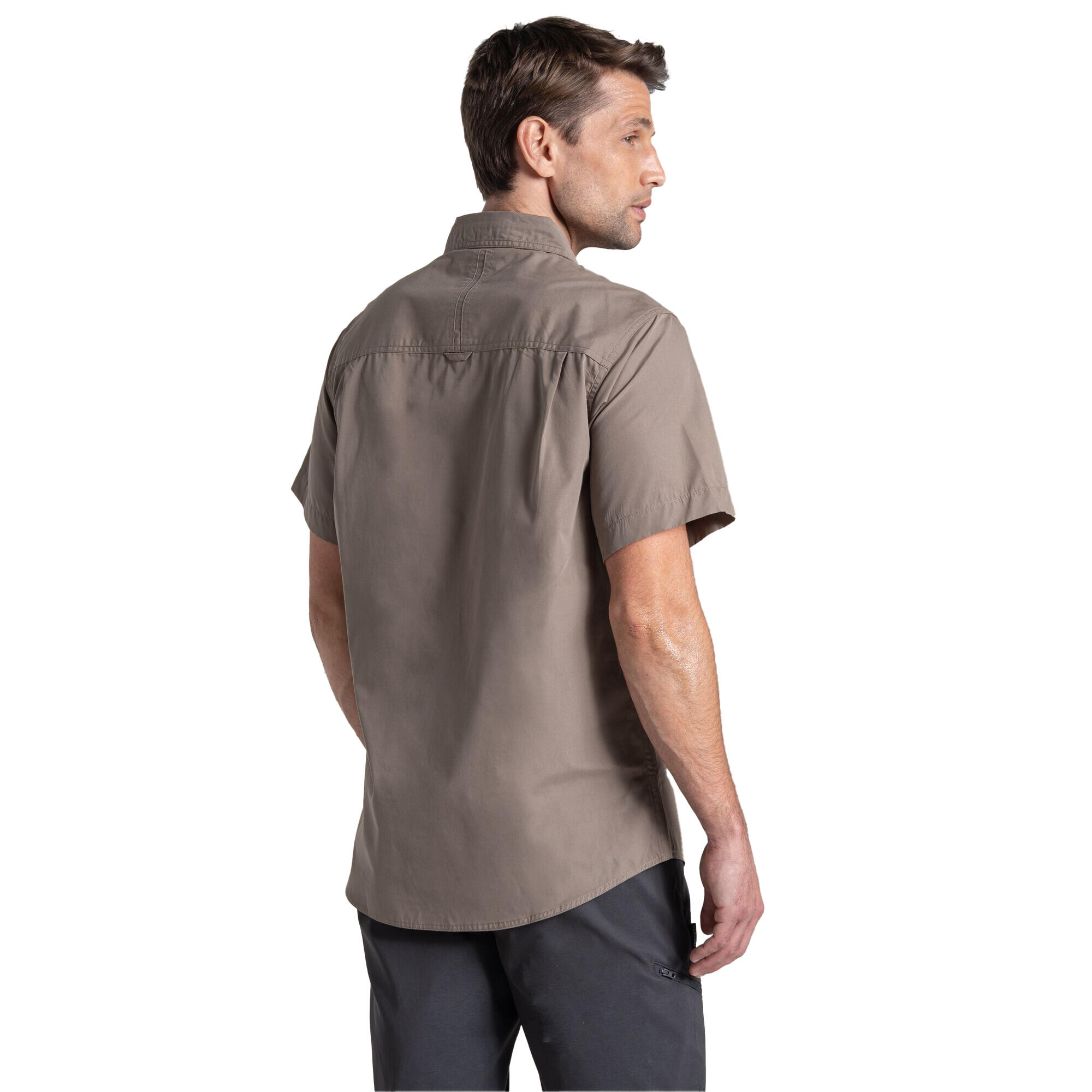 Chemise Unie Manches Courtes KIWI Homme (Marron Clair Gris) 3/5