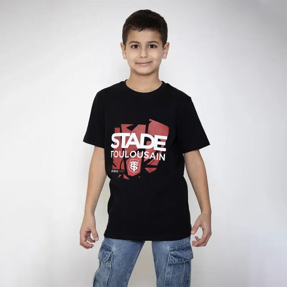 STADE TOULOUSAIN picture