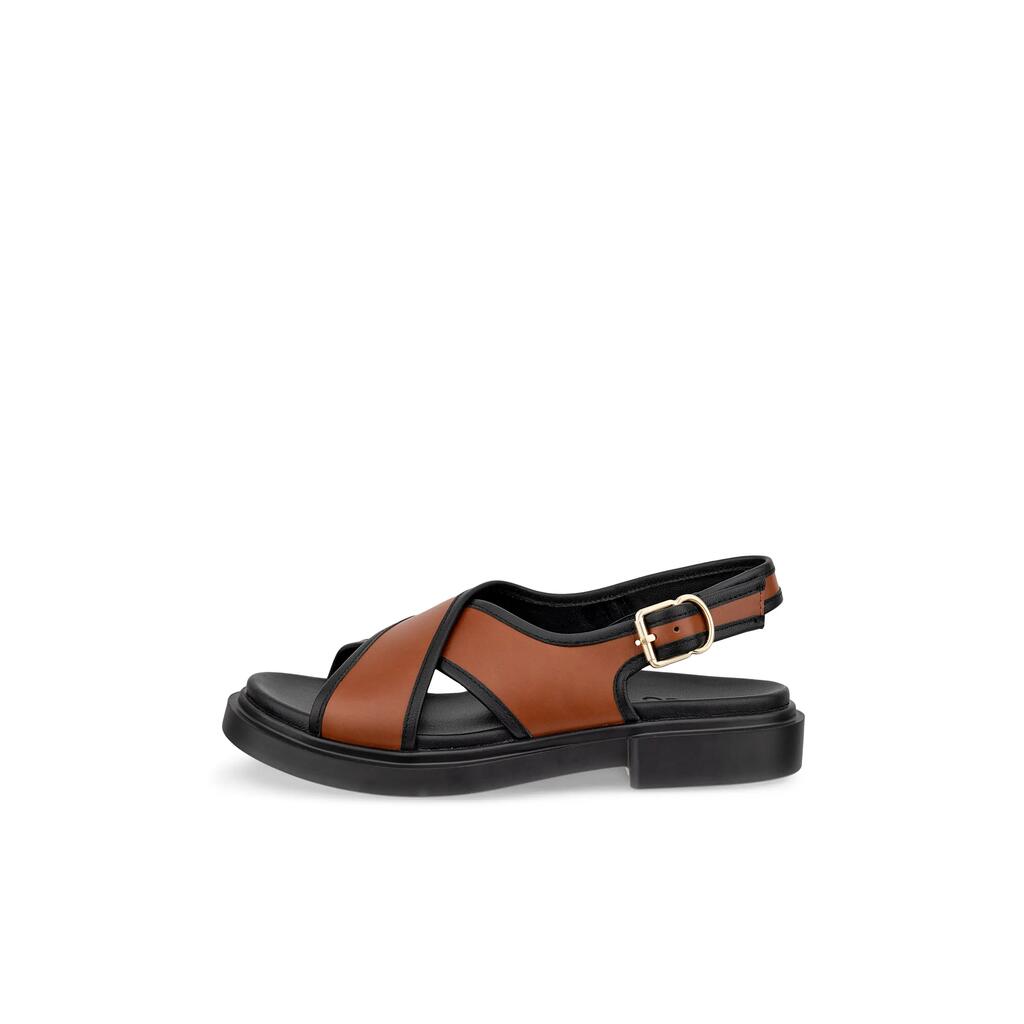 BROWN / BLACK