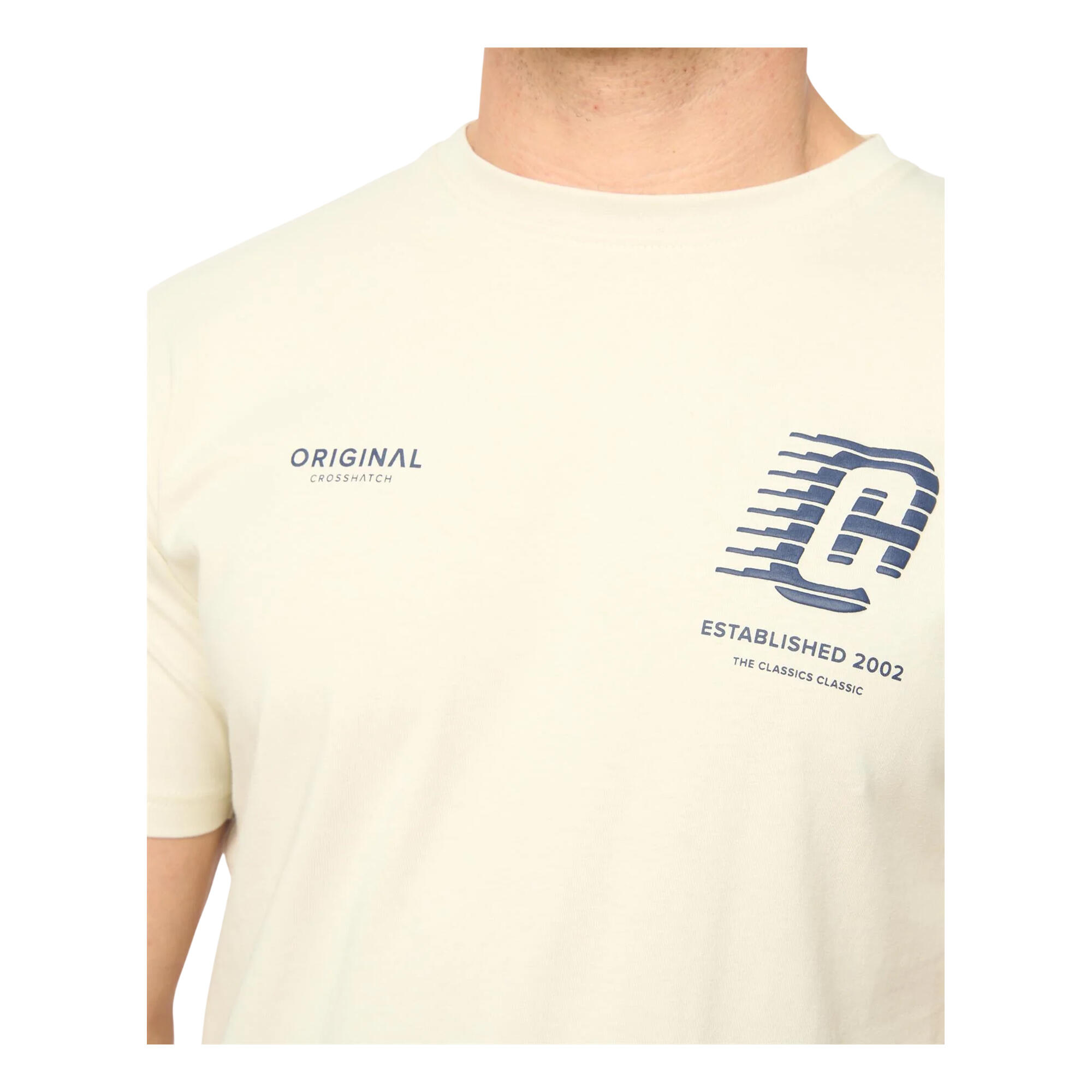 Tshirt MORVILLE Homme (Beige) 3/3