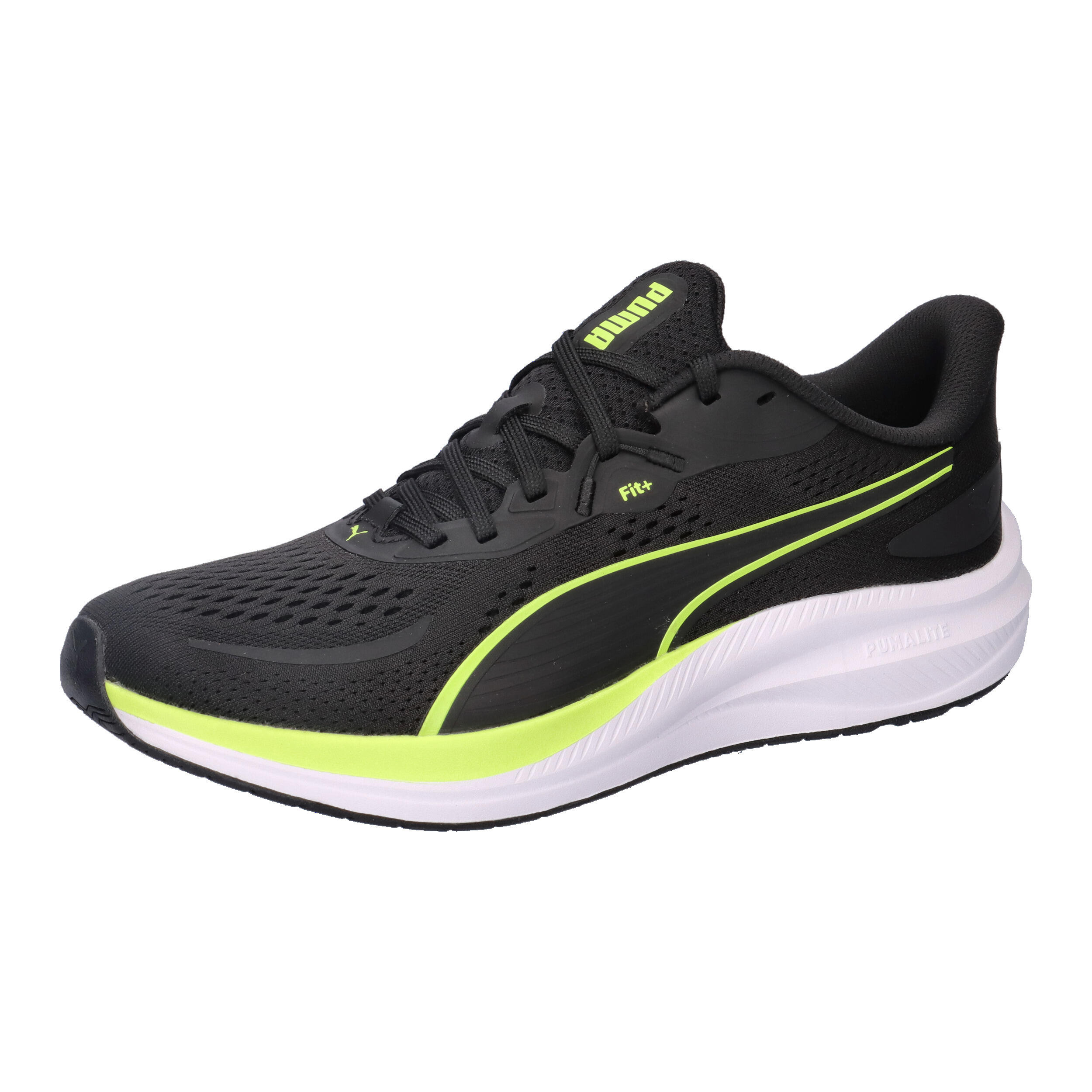 PUMA picture
