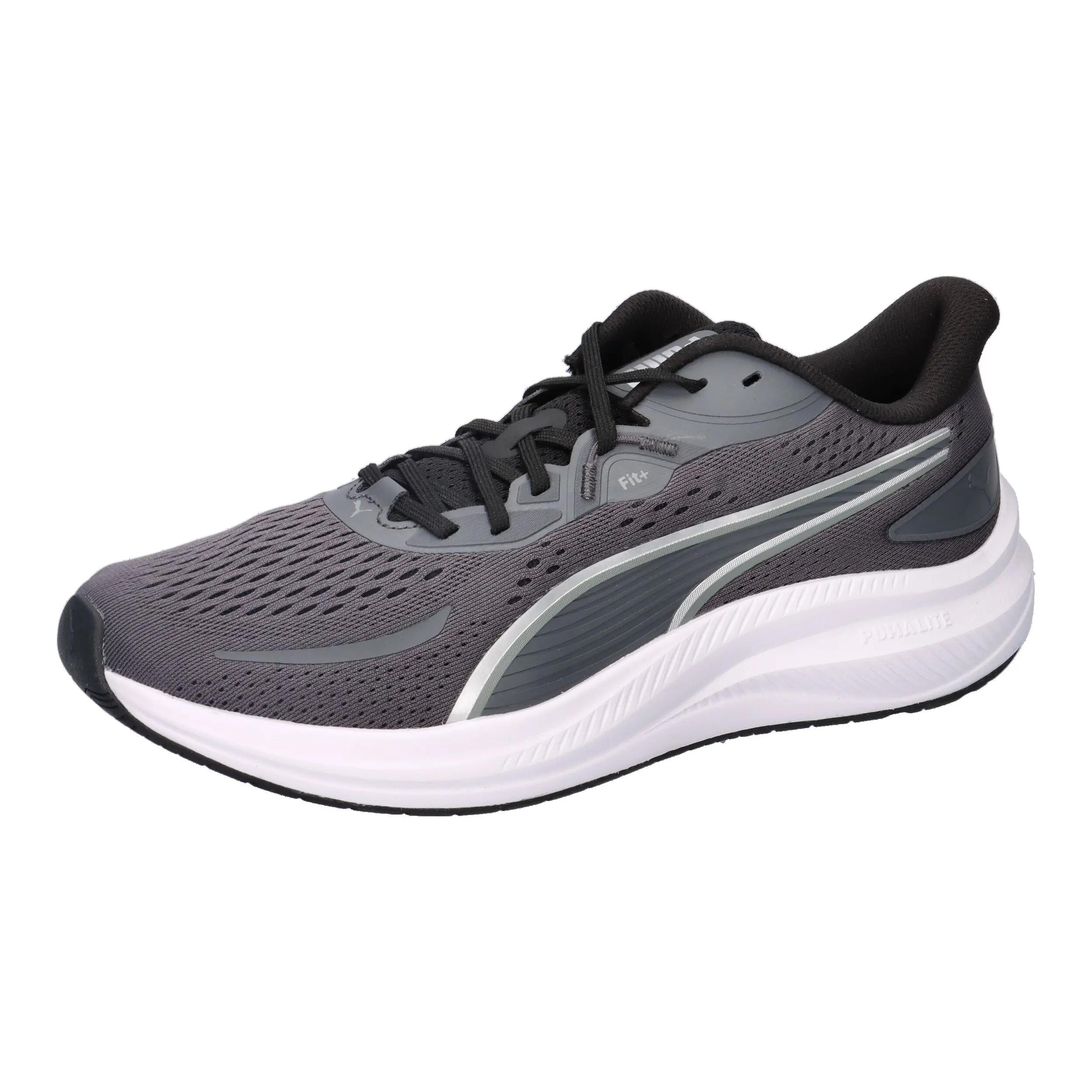 PUMA picture