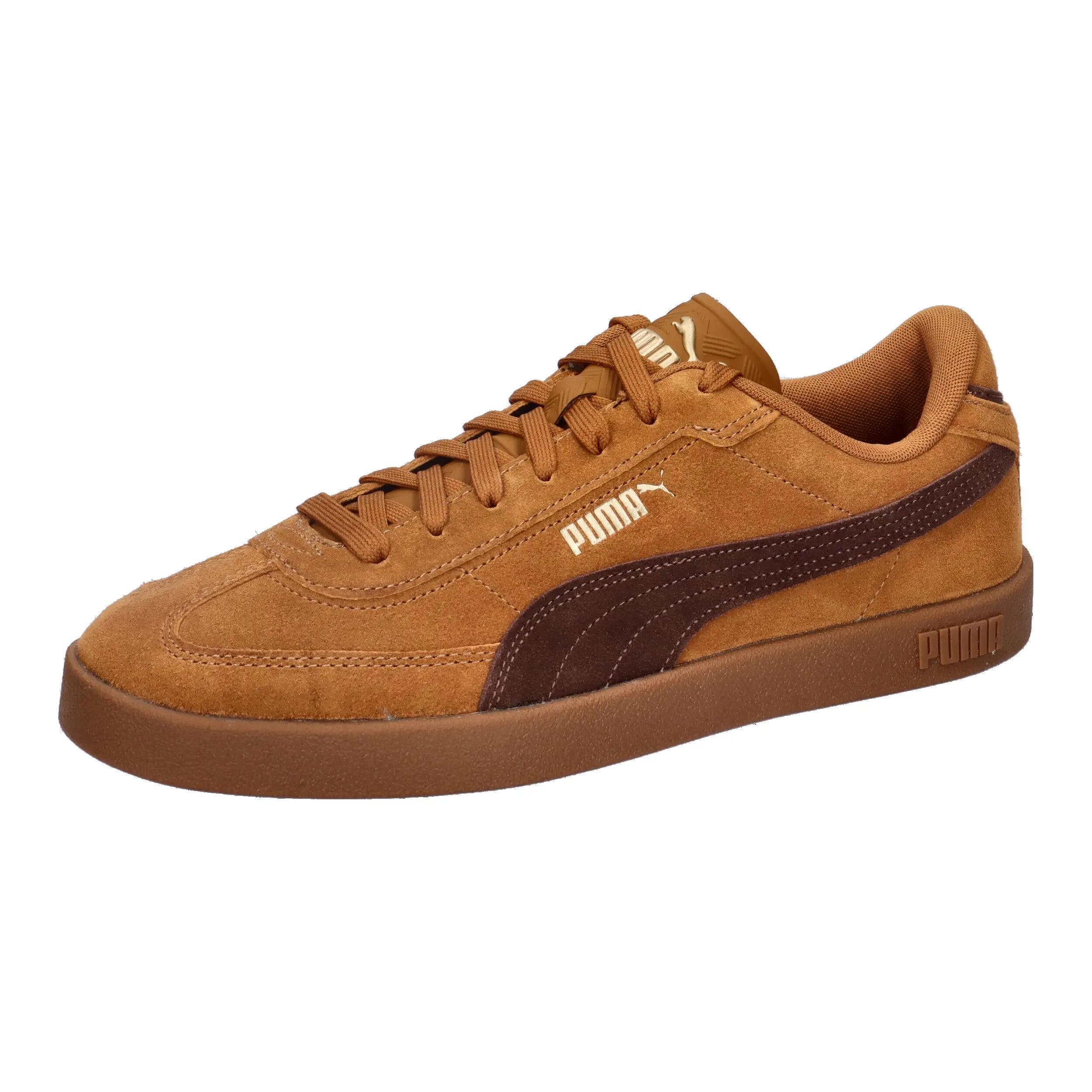 PUMA picture