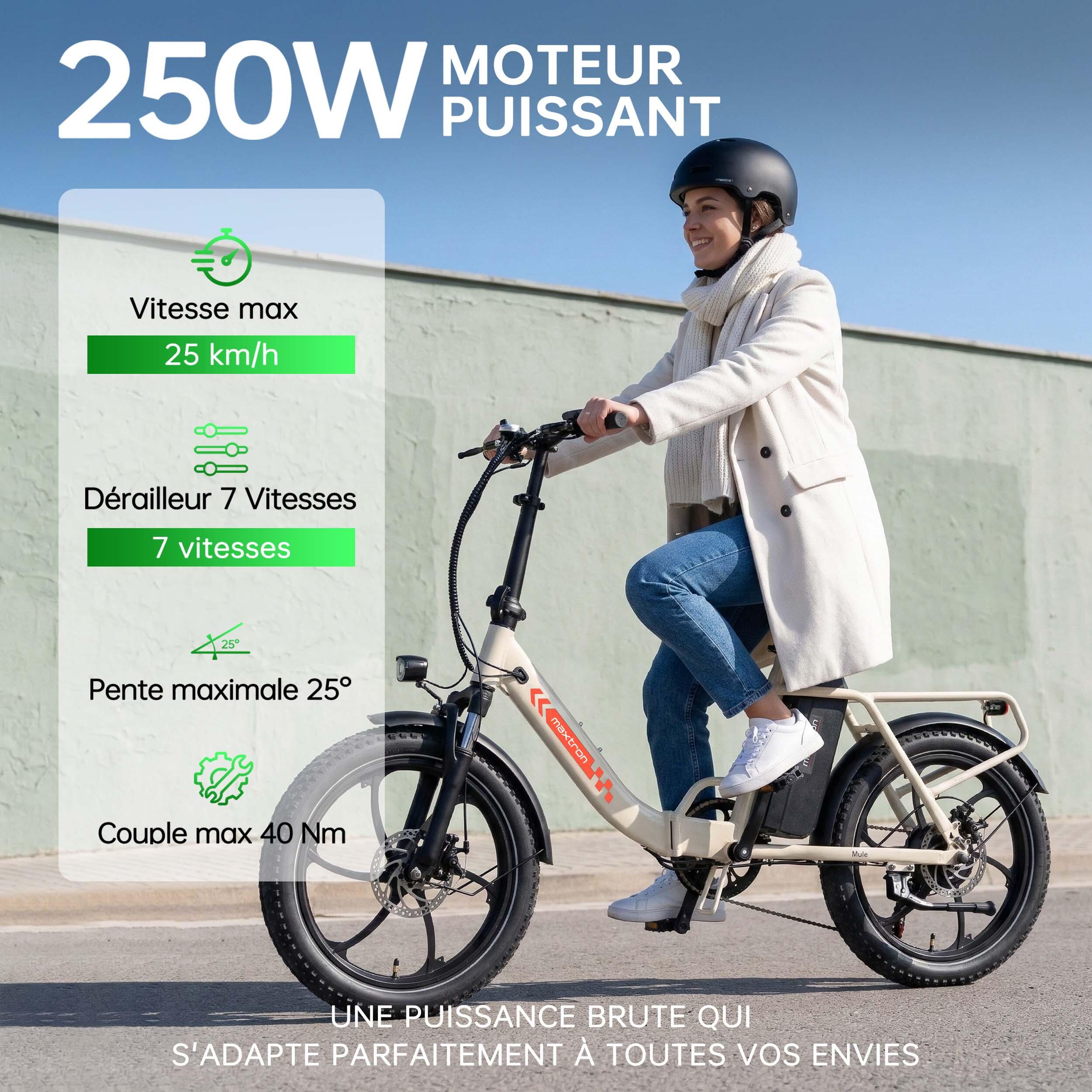 Maxtron MULE opvouwbare elektrische fiets, 48V 20Ah verwijderbare accu. 5/7