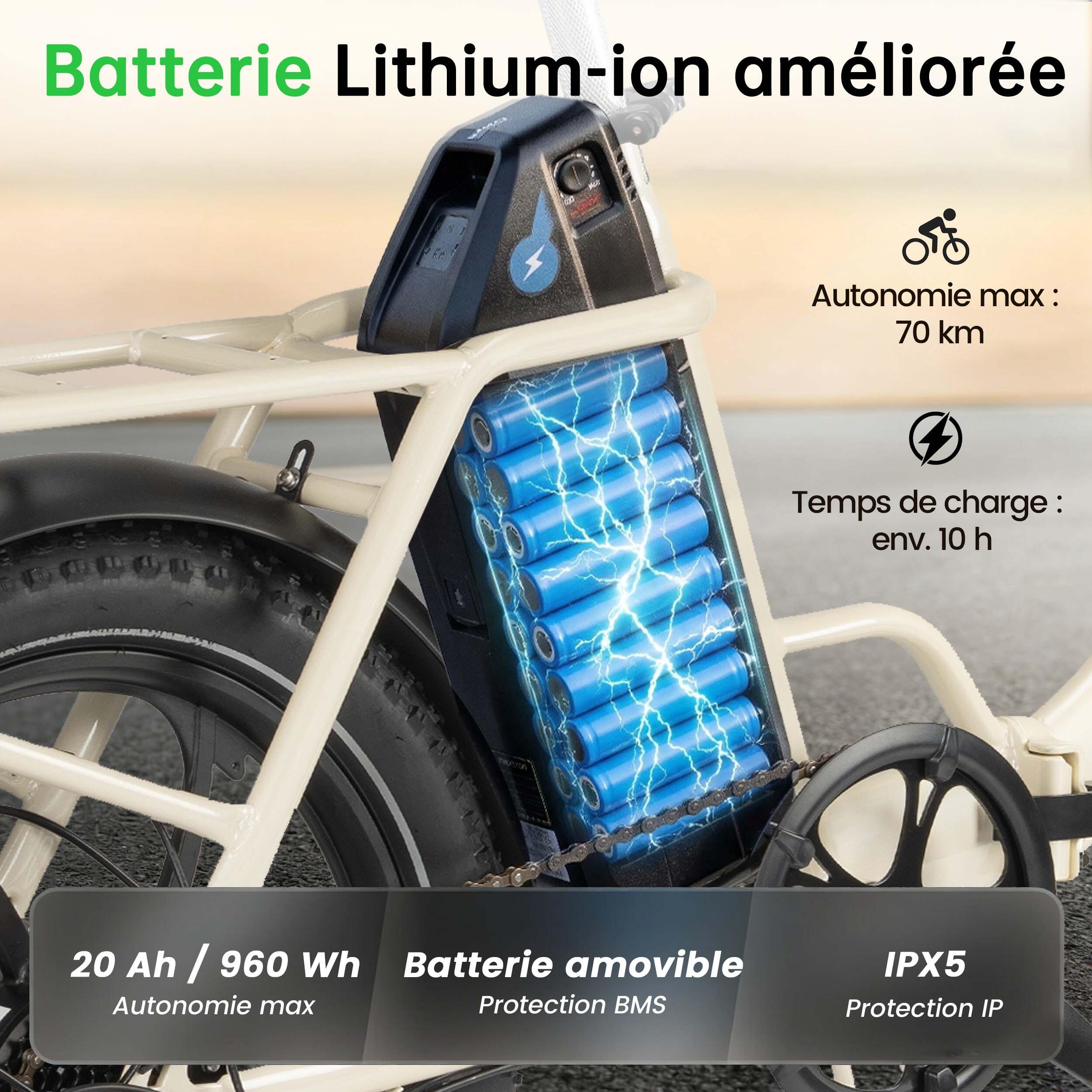 Maxtron MULE opvouwbare elektrische fiets, 48V 20Ah verwijderbare accu. 4/7