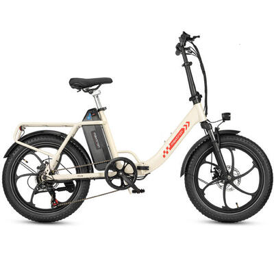 Mule 20 inch elektrische vouwfiets 250w 48v 20ah 70 km actieradius 7v
