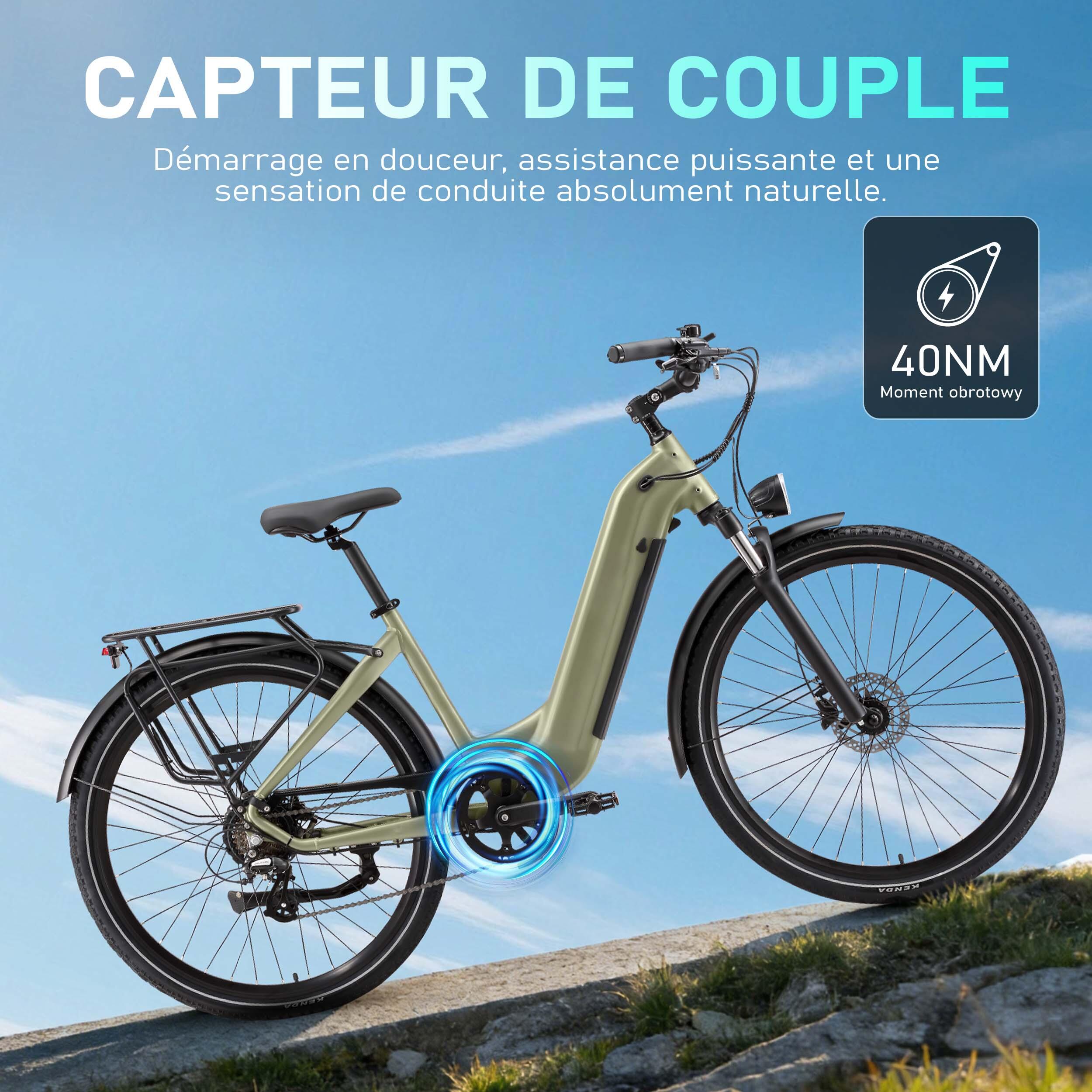 Bicicleta elétrica Maxtron Marathon, 36V 22,5AH, travões de disco hidráulicos. 6/7