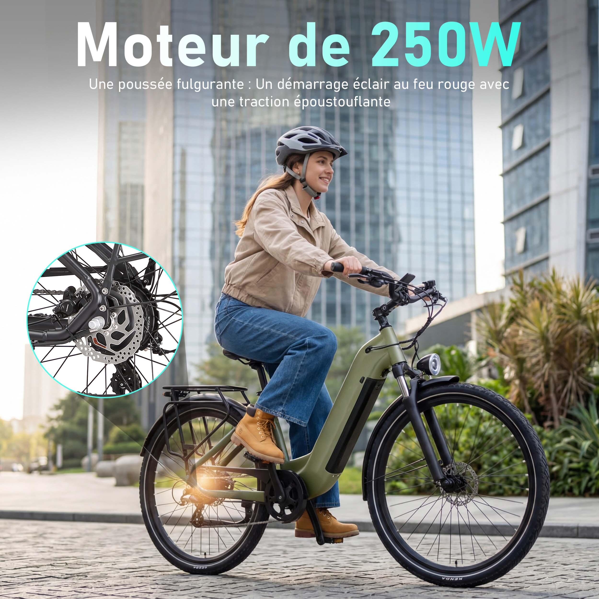 Bicicleta elétrica Maxtron Marathon, 36V 22,5AH, travões de disco hidráulicos. 5/7