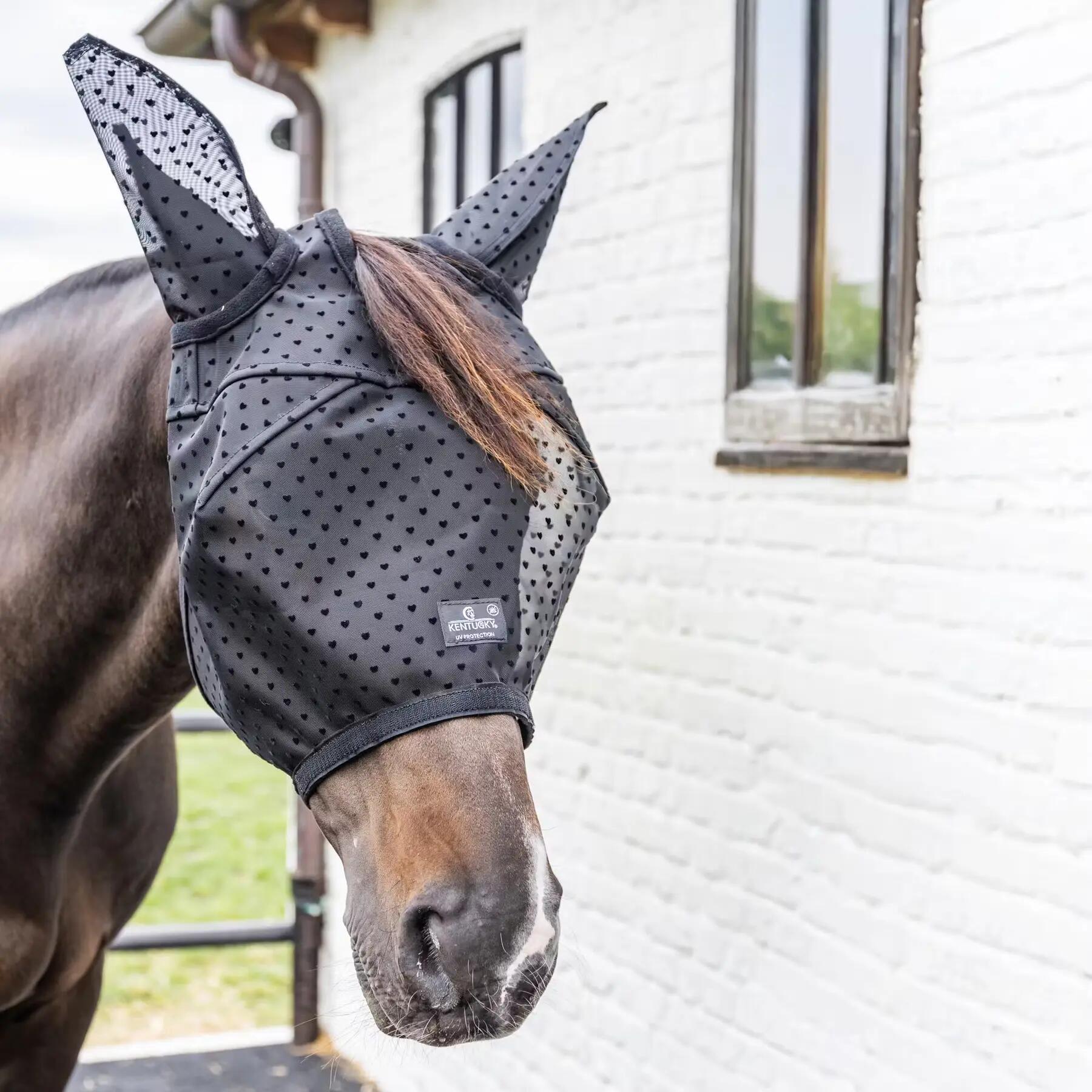 Maska antysmogowa dla koni Kentucky Horsewear Fly Heart 5/5