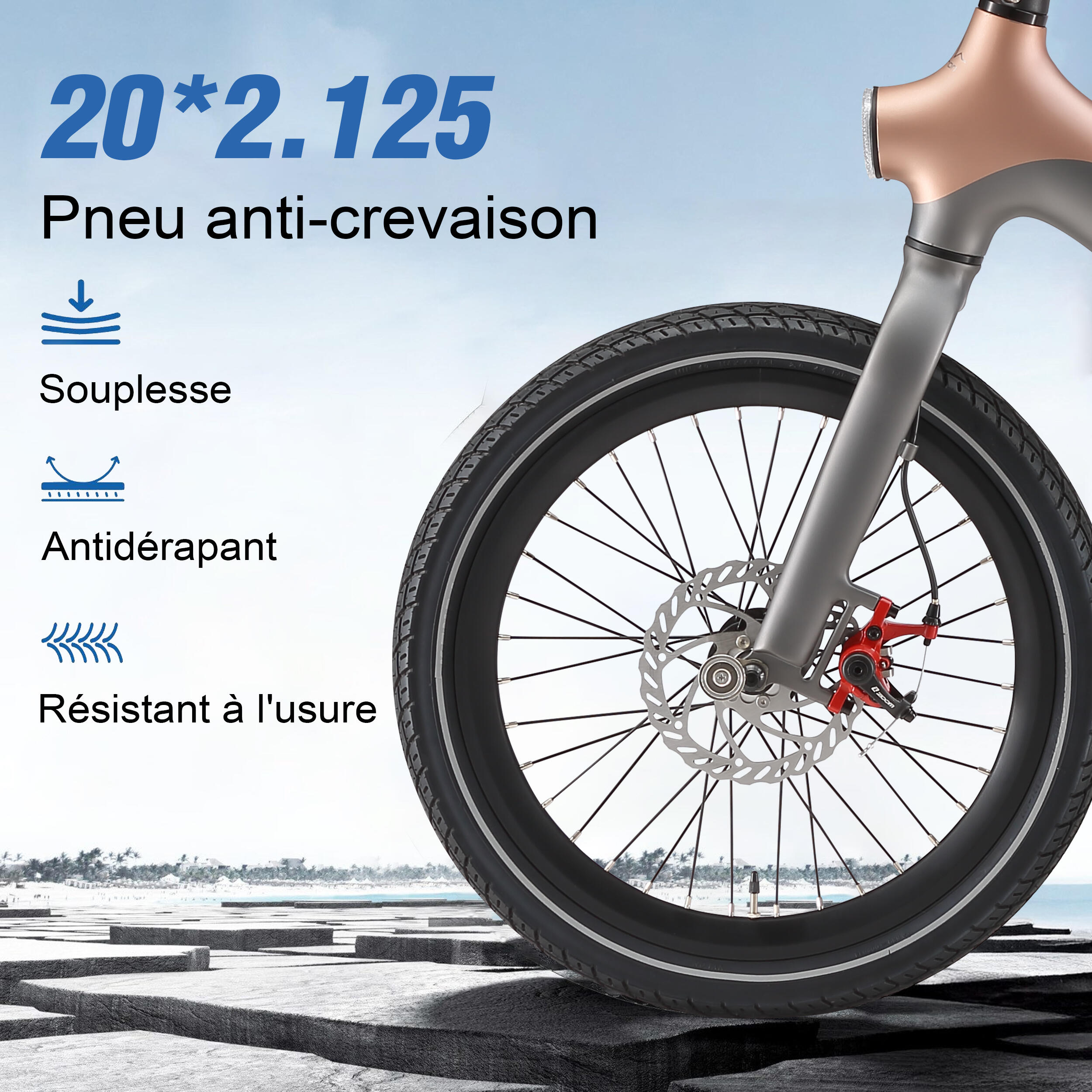 Bicicleta elétrica dobrável MAXTRON Smart30 com bateria removível de 36V 9,6Ah. 7/7