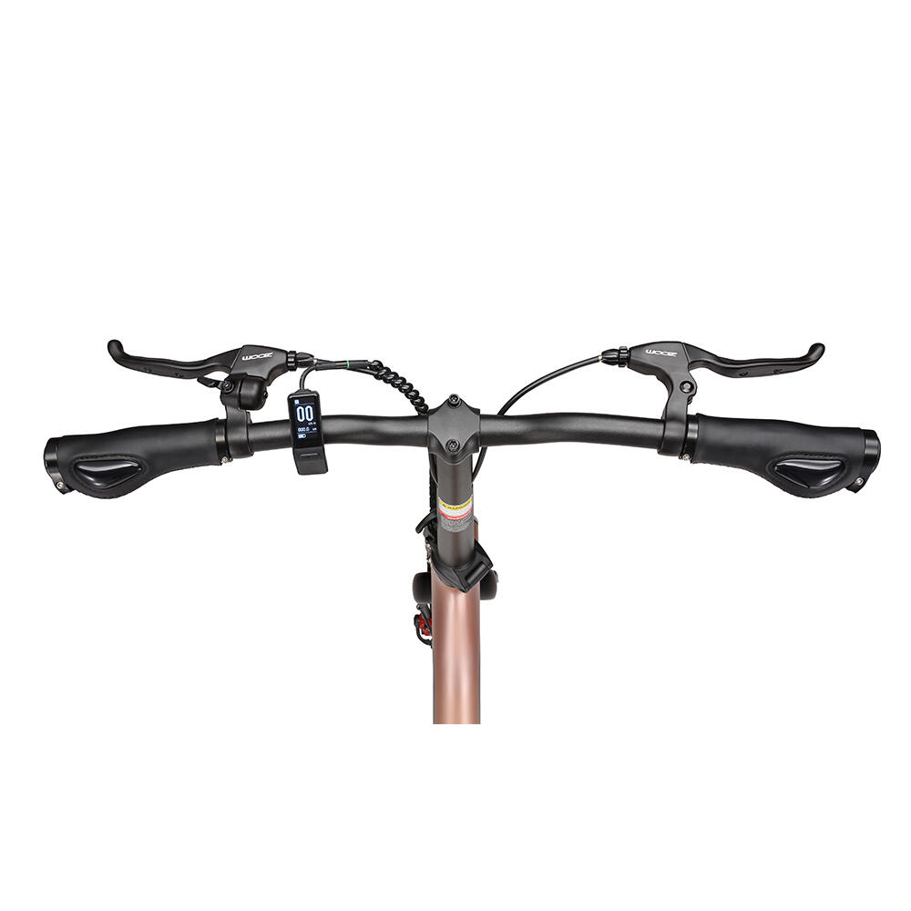 Bicicleta elétrica dobrável MAXTRON Smart30 com bateria removível de 36V 9,6Ah. 3/7