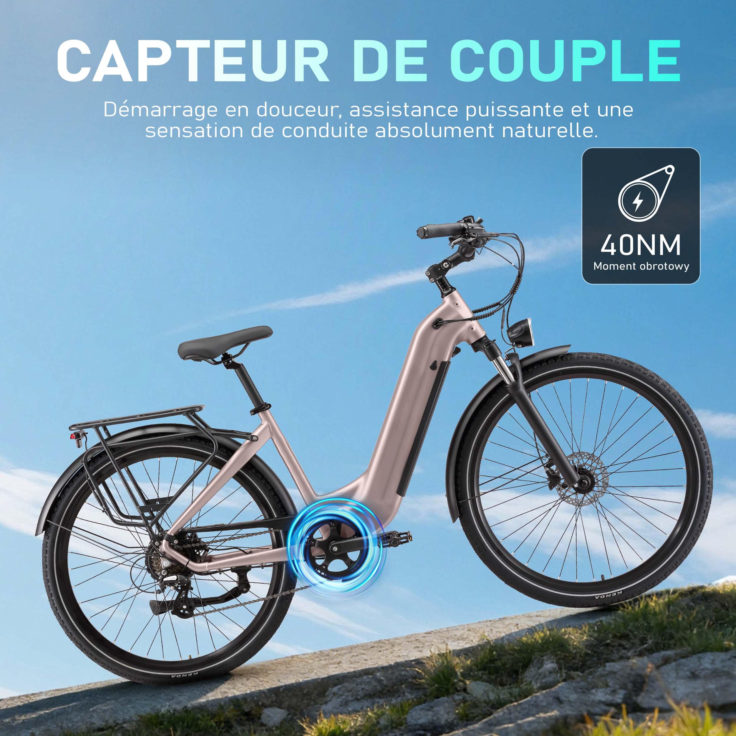 Bicicleta elétrica Maxtron Marathon, 36V 22,5AH, travões de disco hidráulicos. 6/7