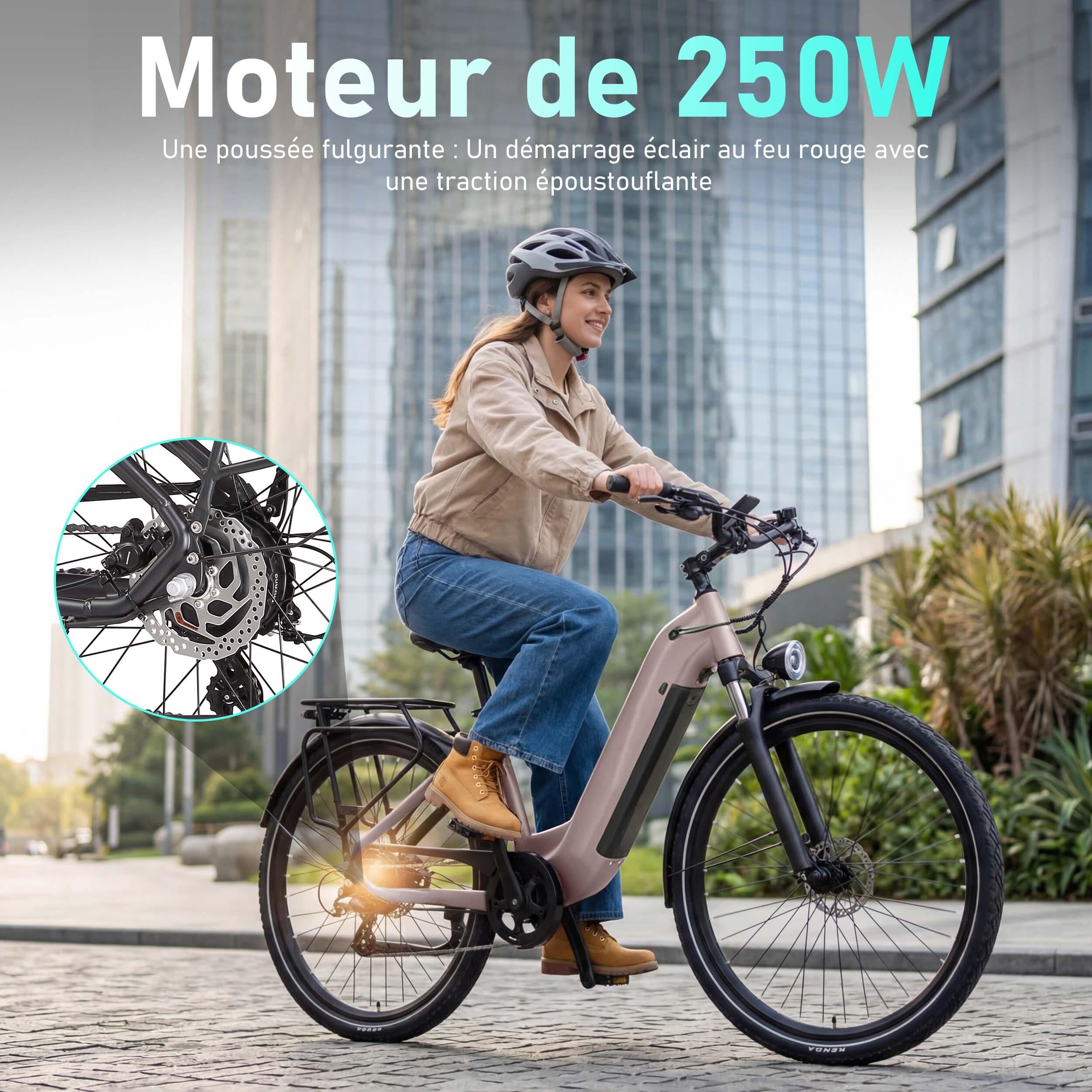 Bicicleta elétrica Maxtron Marathon, 36V 22,5AH, travões de disco hidráulicos. 5/7