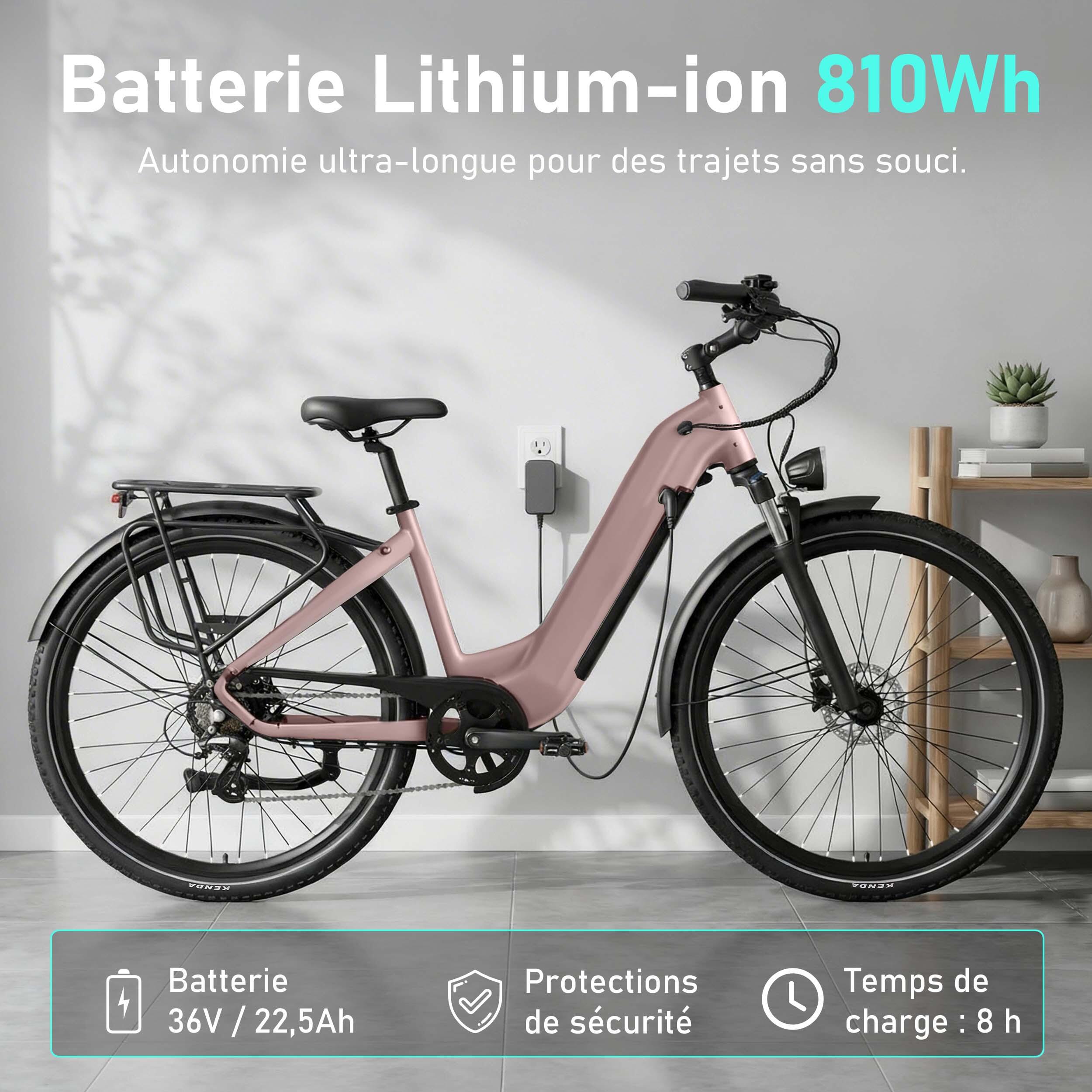 Bicicleta elétrica Maxtron Marathon, 36V 22,5AH, travões de disco hidráulicos. 3/7