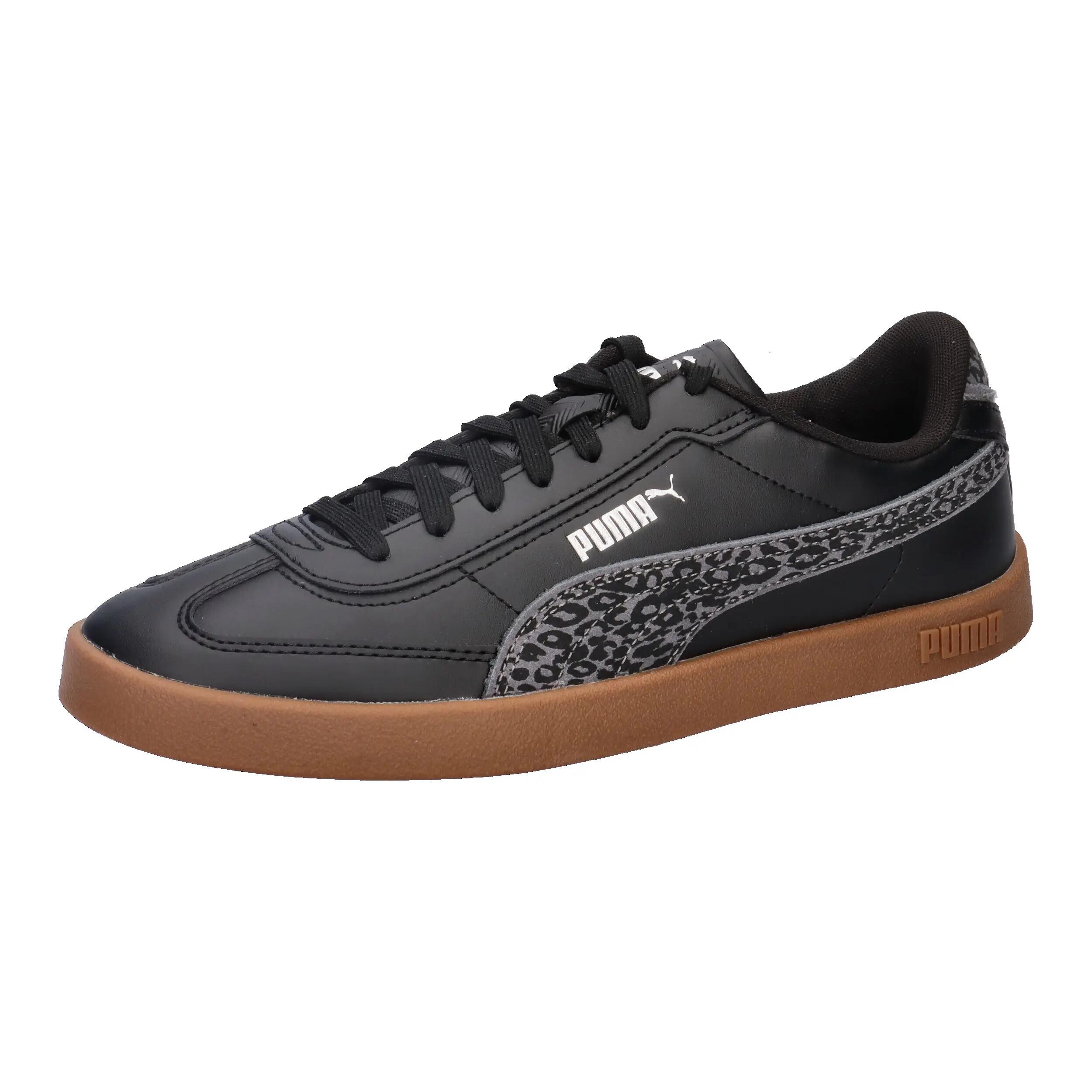 PUMA picture