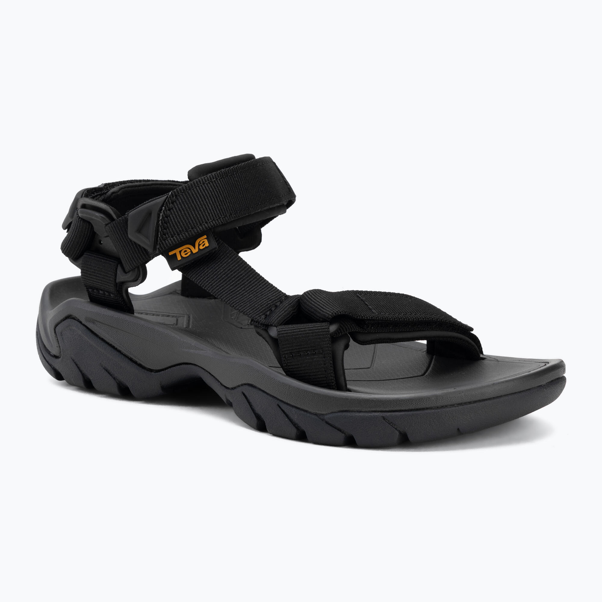 TEVA picture