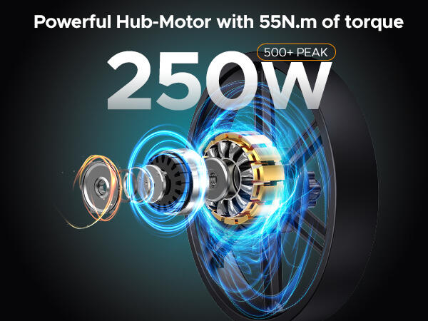 Bici elettrica adulti ENGINE X 250W 20" Fat TT 48V13Ah Città 7/12