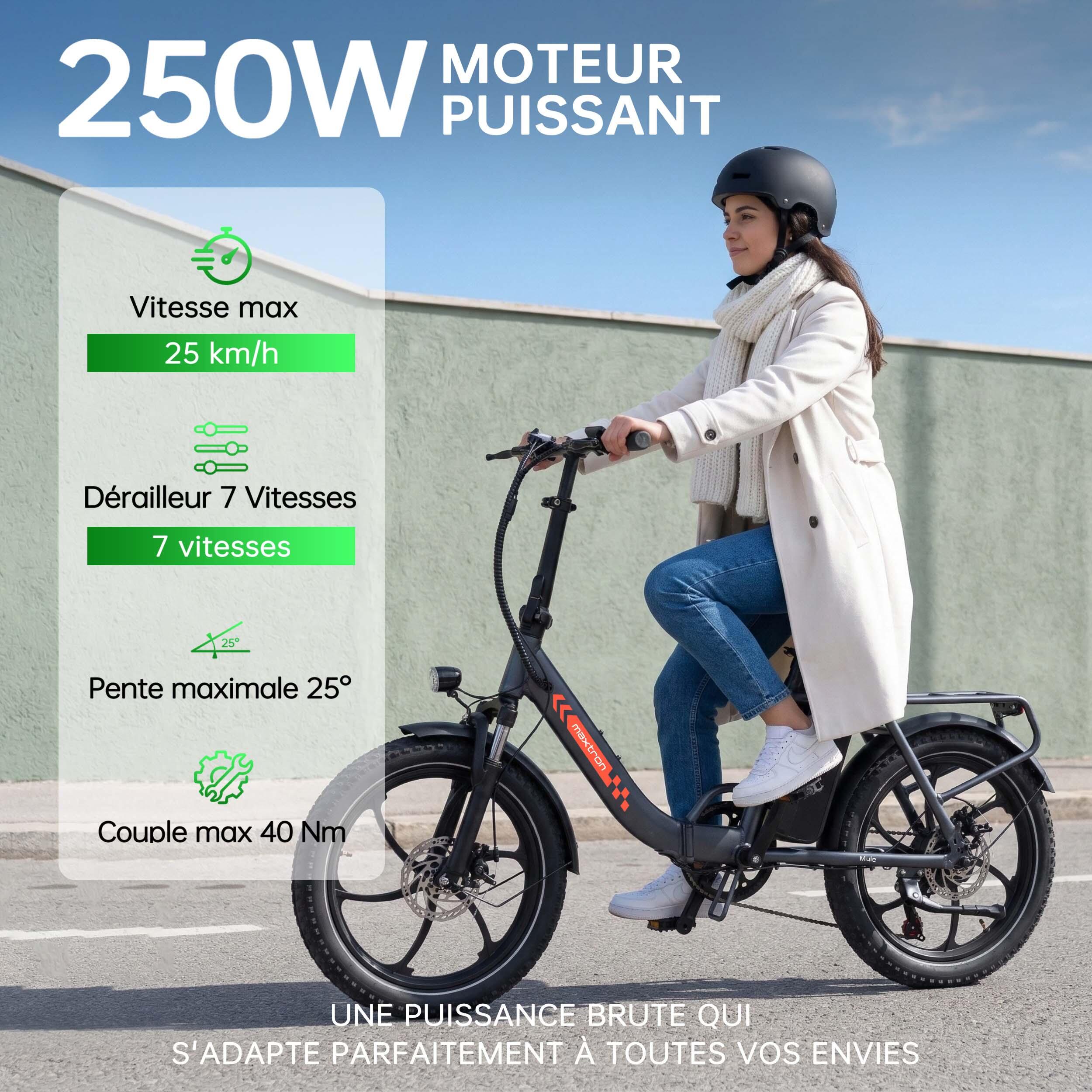 Maxtron MULE opvouwbare elektrische fiets, 48V 20Ah verwijderbare accu. 5/7