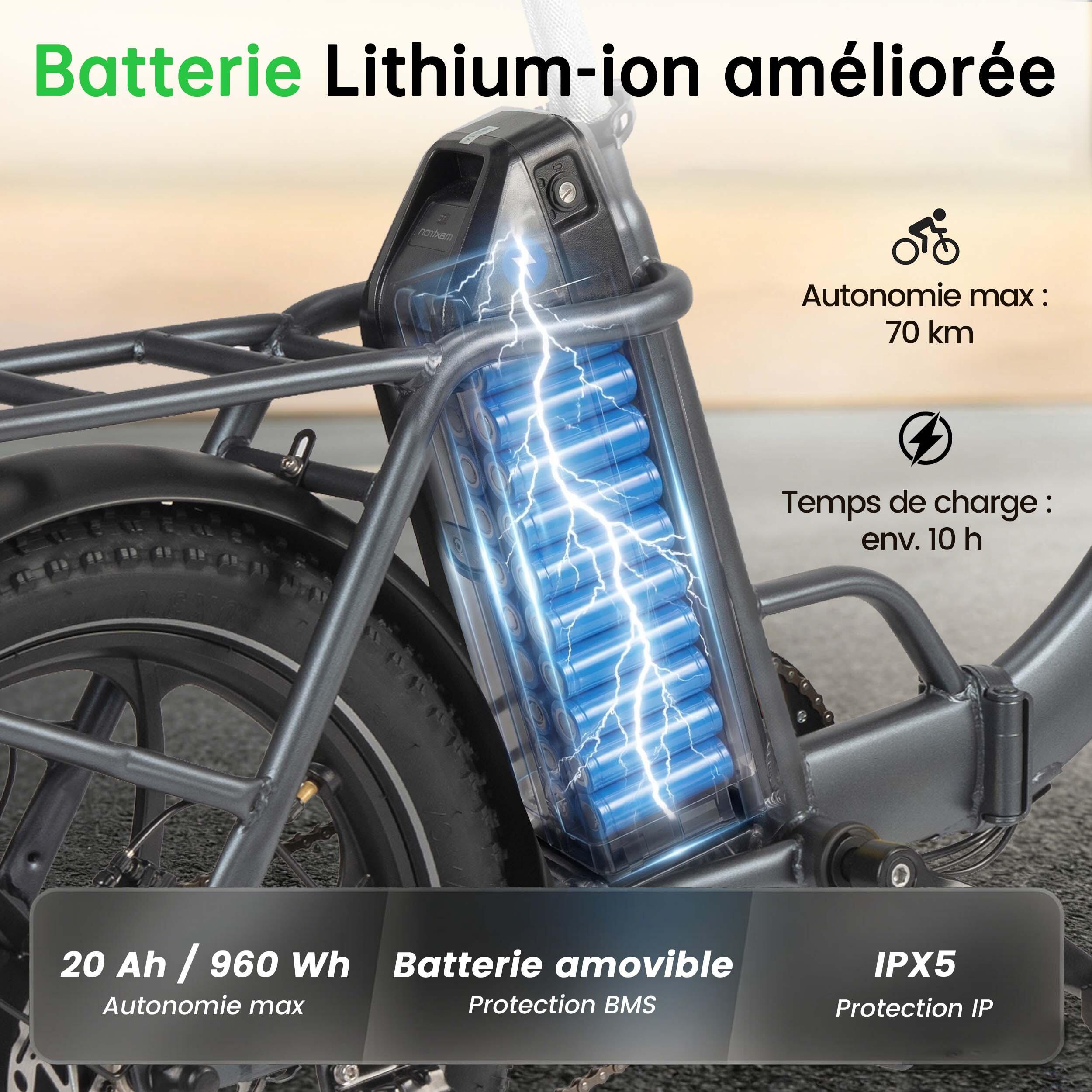Maxtron MULE opvouwbare elektrische fiets, 48V 20Ah verwijderbare accu. 4/7