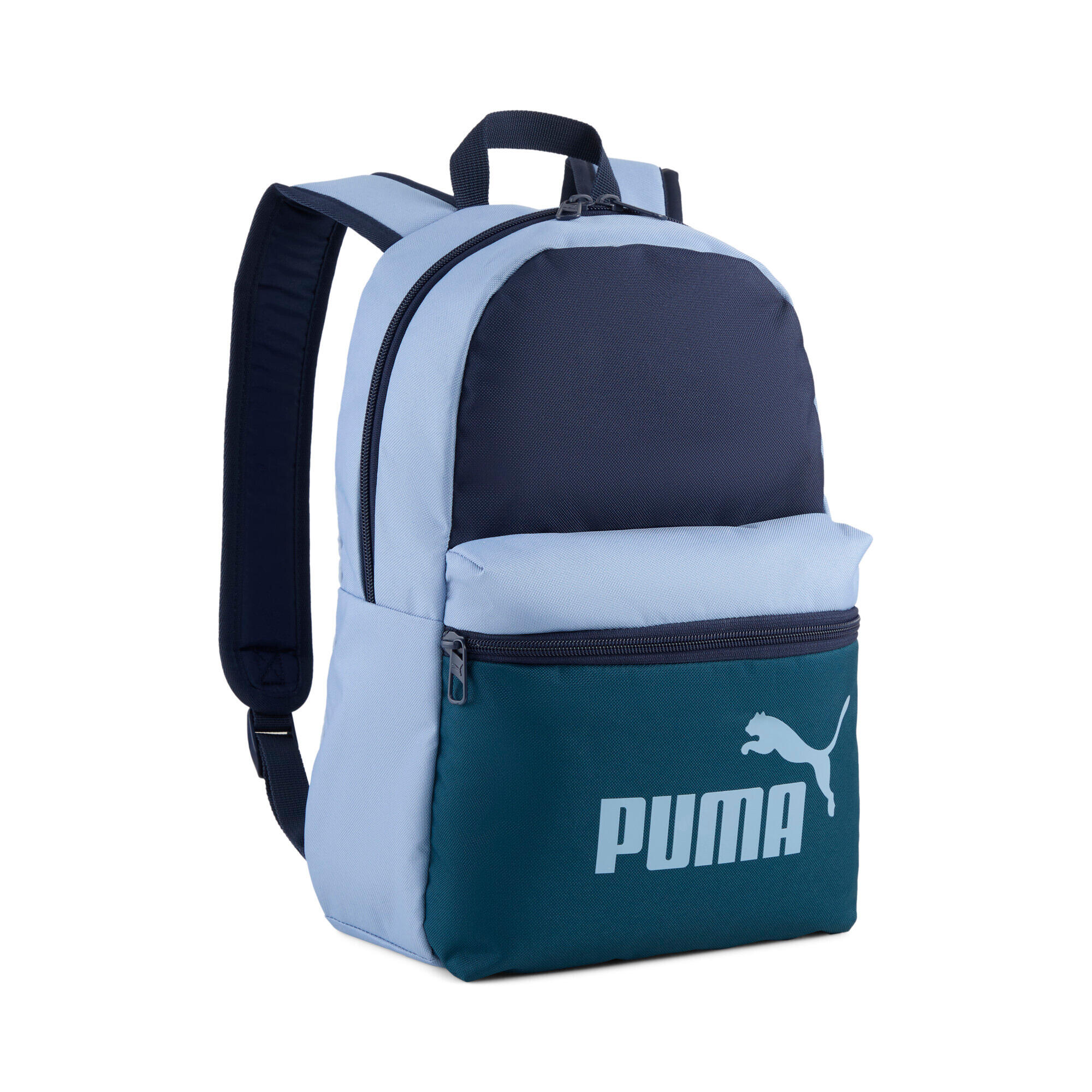PUMA picture