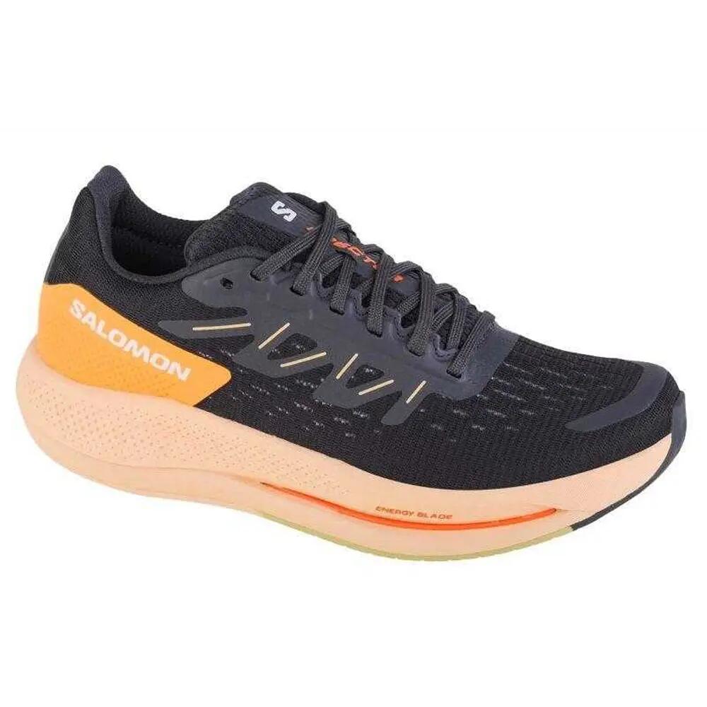 SALOMON picture