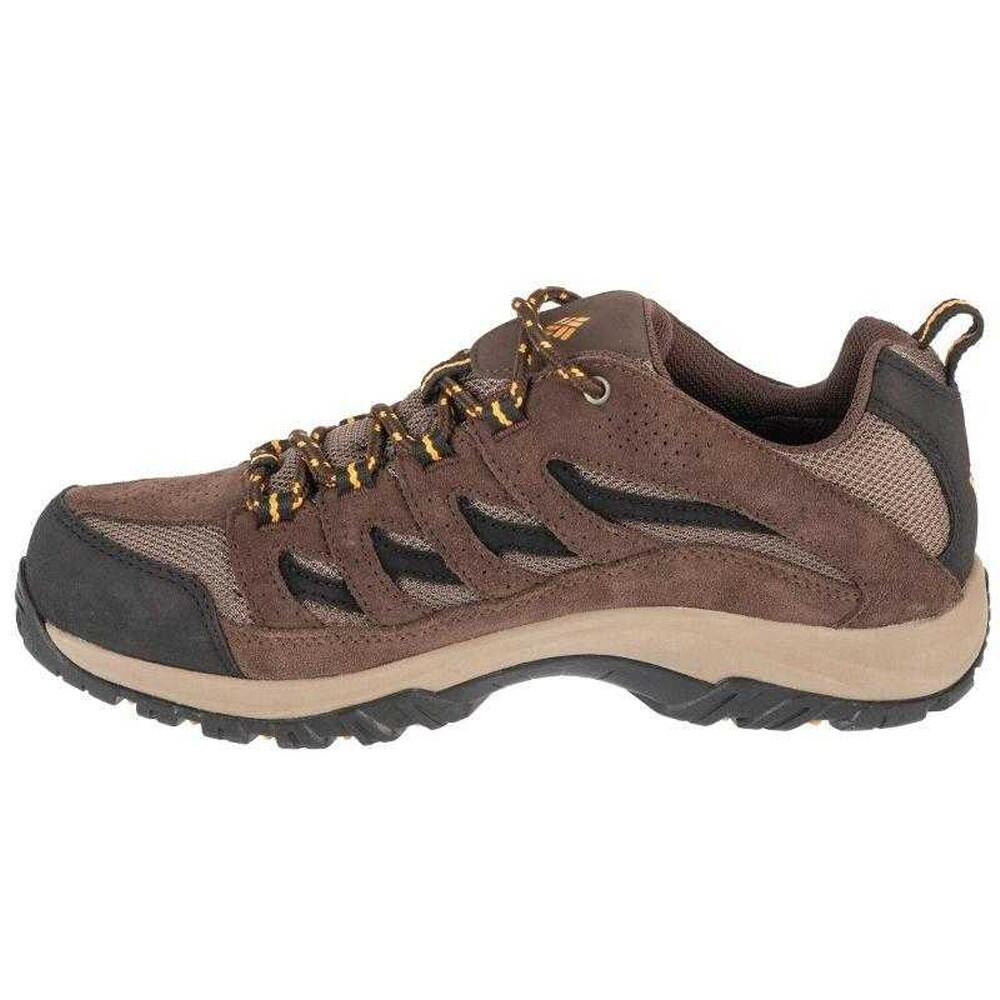 Baskets CRESTWOOD Homme (Marron) 2/5