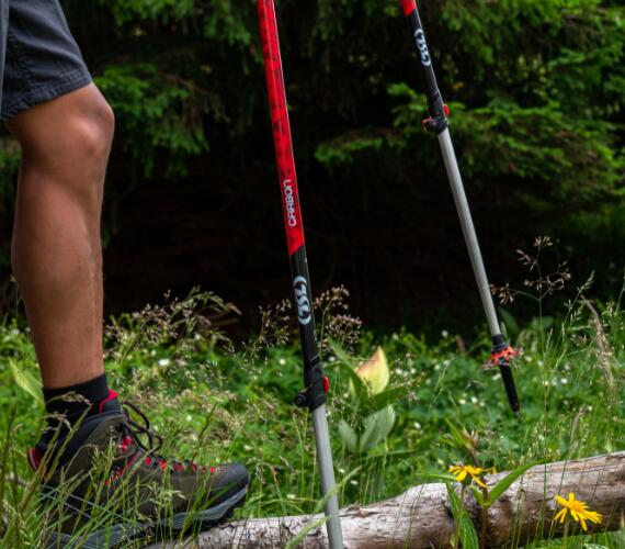 Bâtons de Trekking  TSL - Télescopique - TOUR CARBON 2 LIGHT Twist 3/3