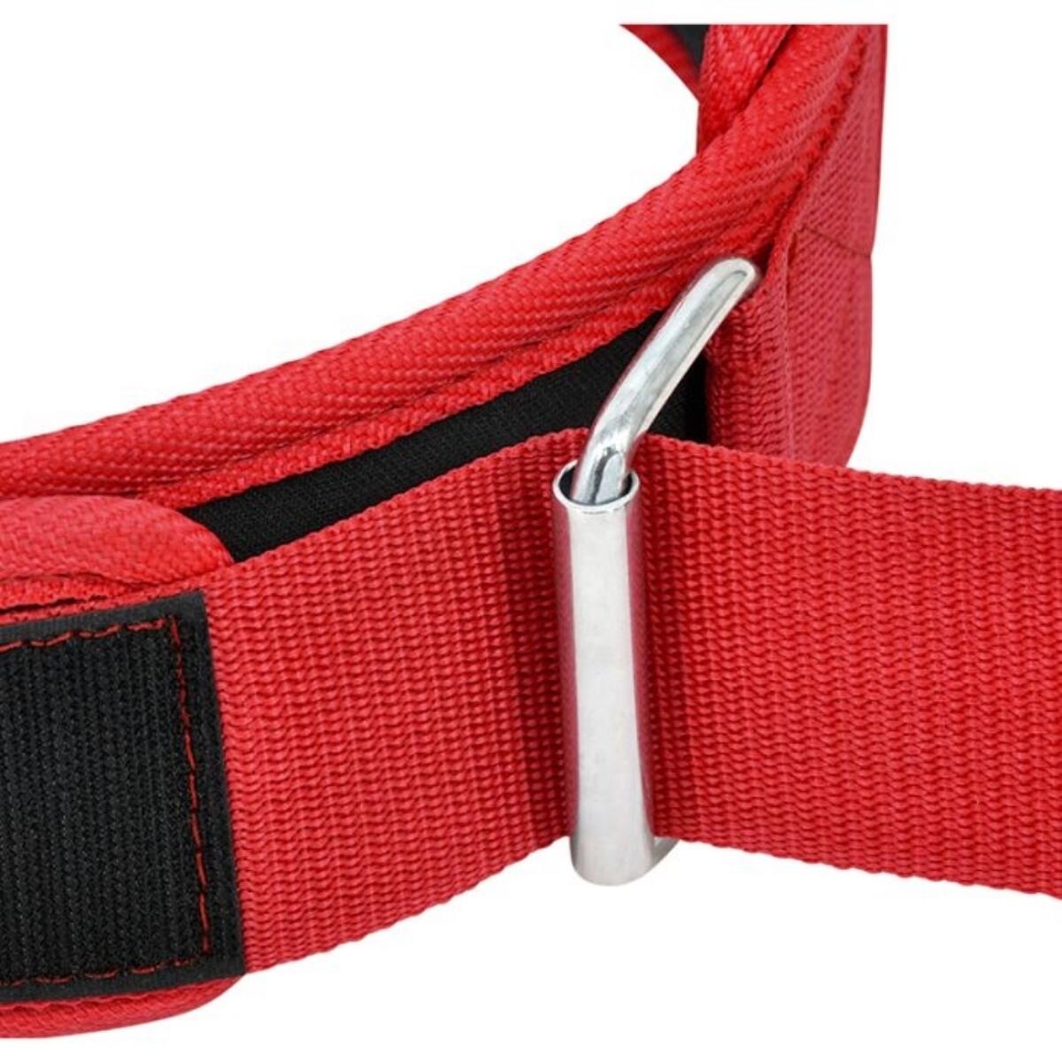Weightlifting Belt RX5 8/8